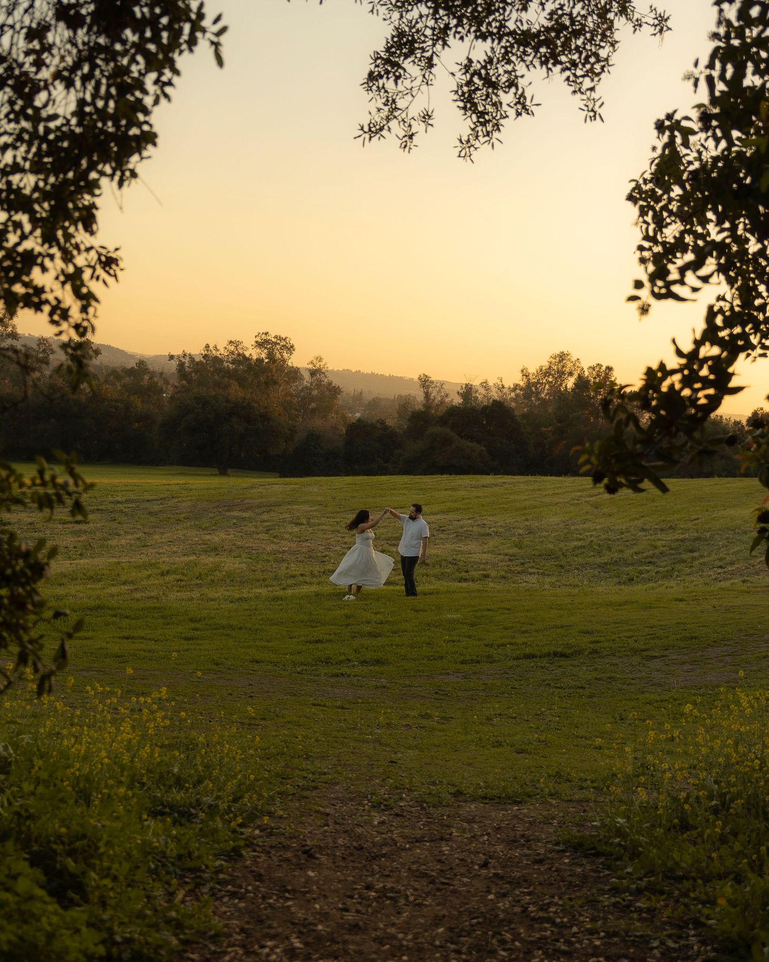 A panoramic view of a grassy field at sunset with silhouettes of figures and trees in the golden light.
