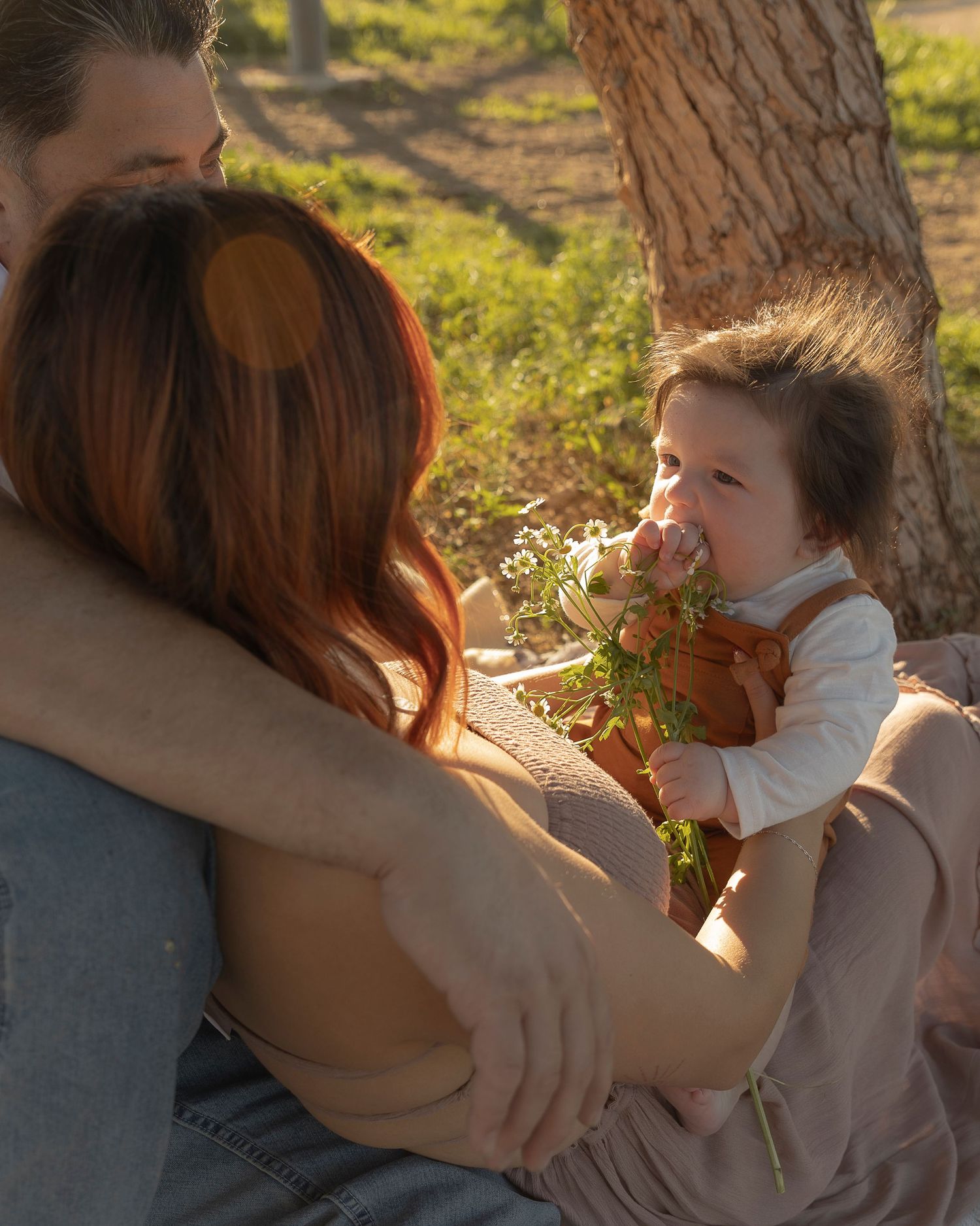 A couple sits outdoors hugging while their baby smells wildflowers in golden sunlight near a tree.