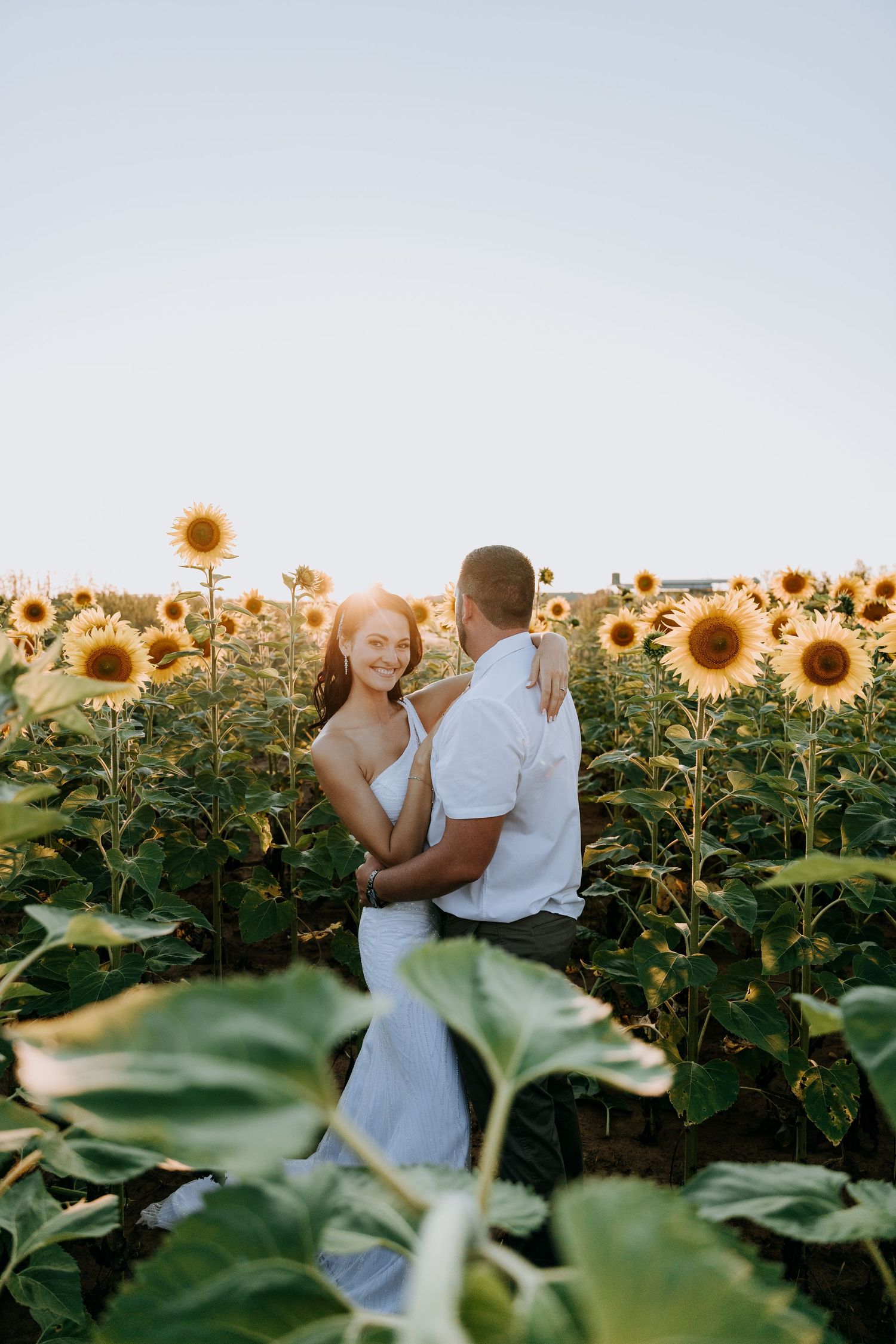 Couple embraces in blooming sunflower field during golden hour.