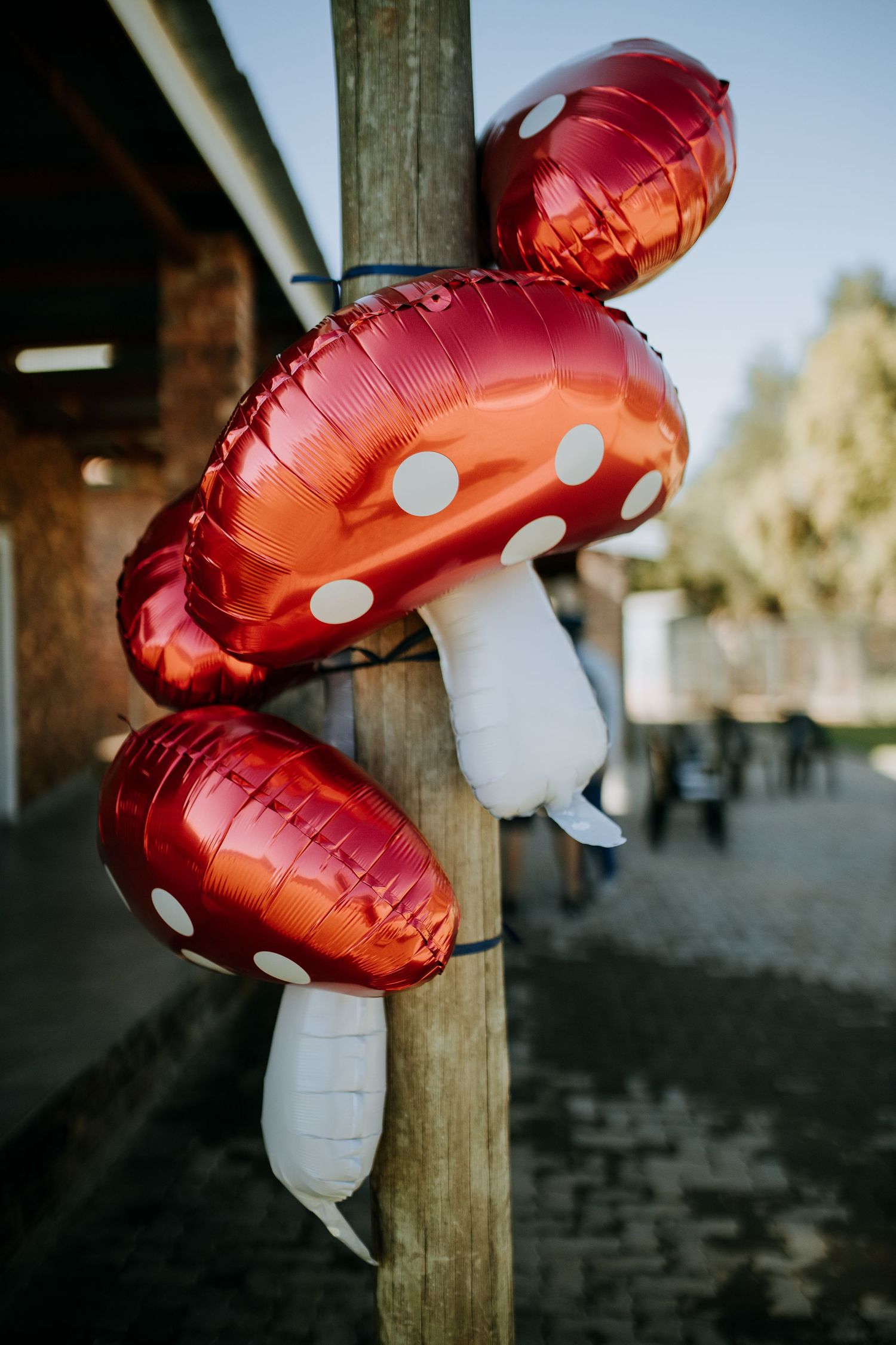 Red balloon shaped like a mushroom with white polka dots tied to a wooden post against a blurry background.
