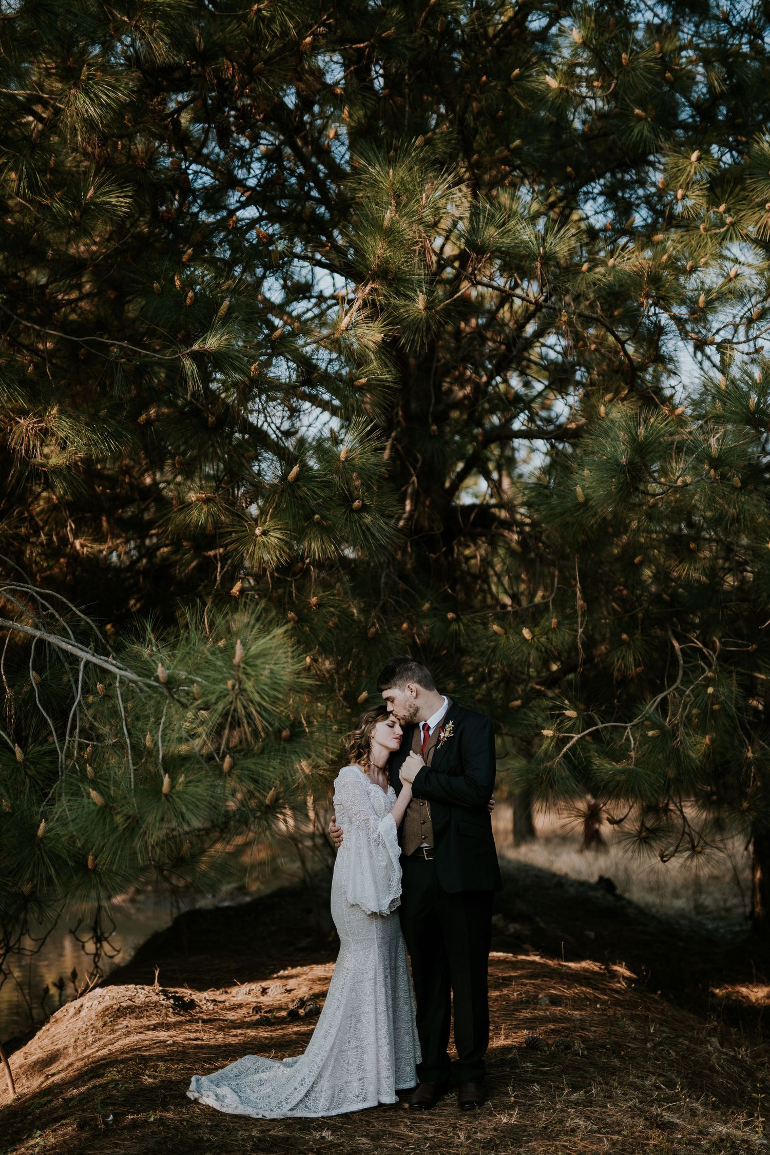 Couple in formal wedding attire embrace under evergreen trees during sunset photoshoot in nature.