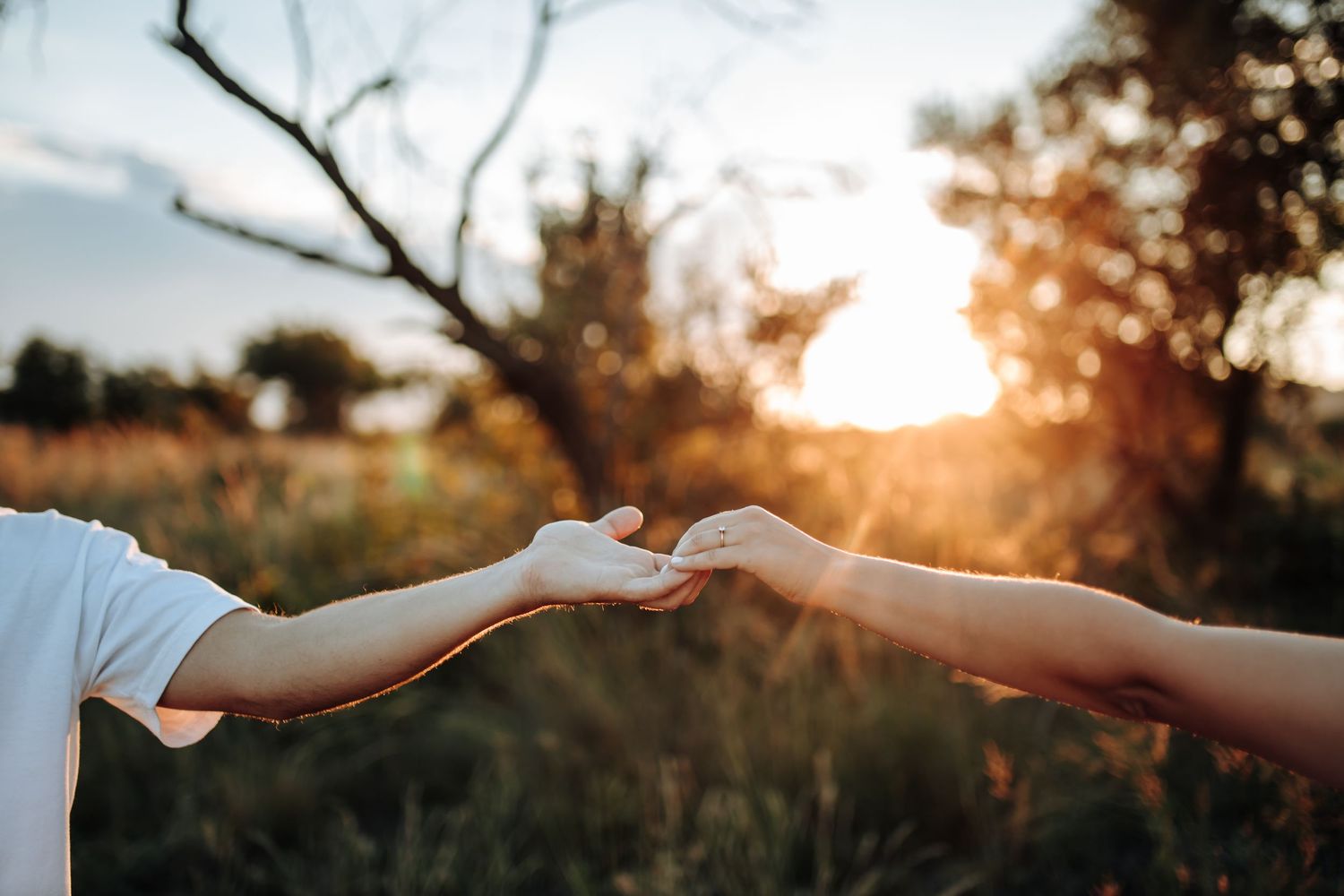 Two hands reach out toward each other in a gentle gesture at sunset with golden sunlight streaming in the background.