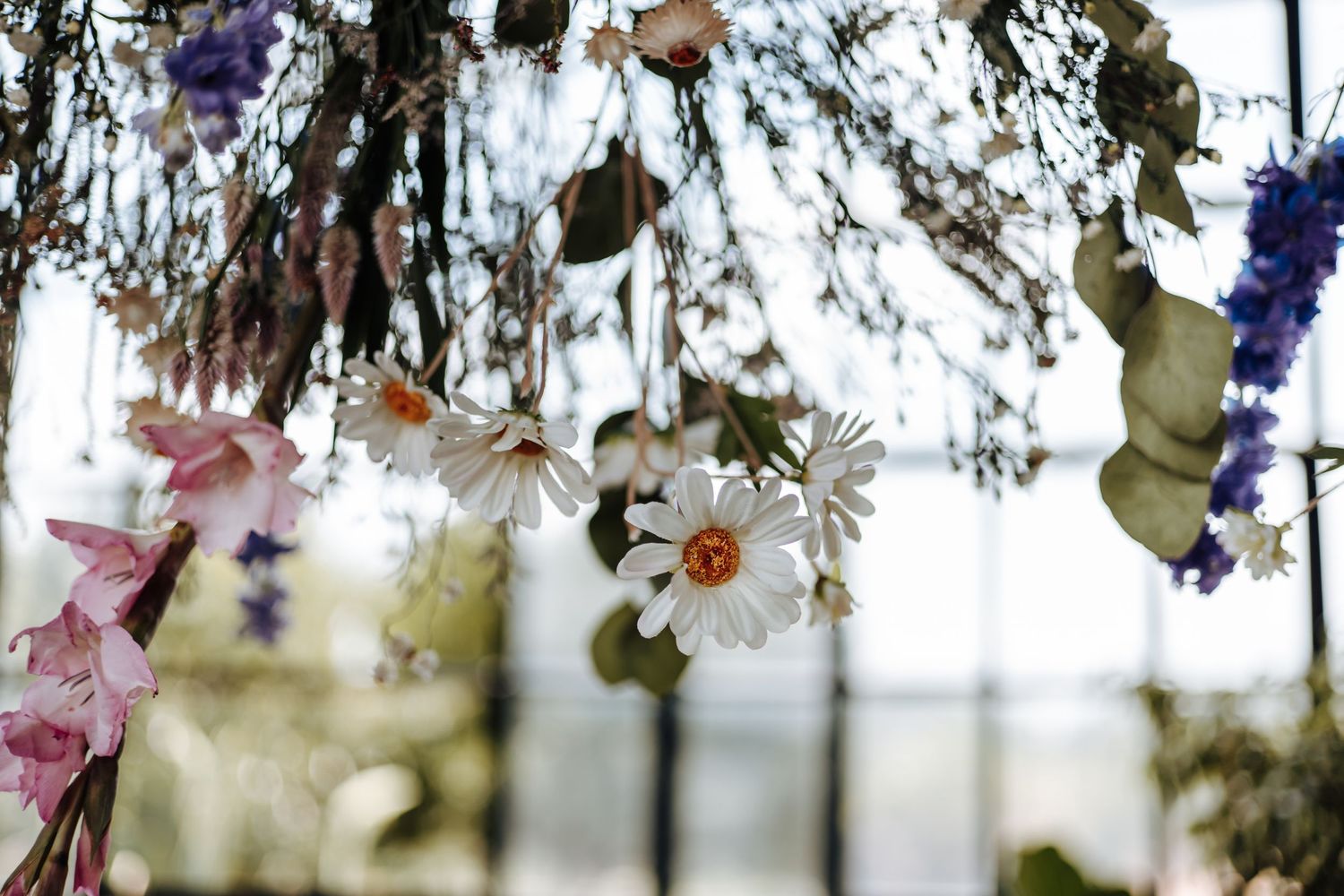 Dried flowers and herbs hanging upside down from a rustic wooden beam in an interior space.