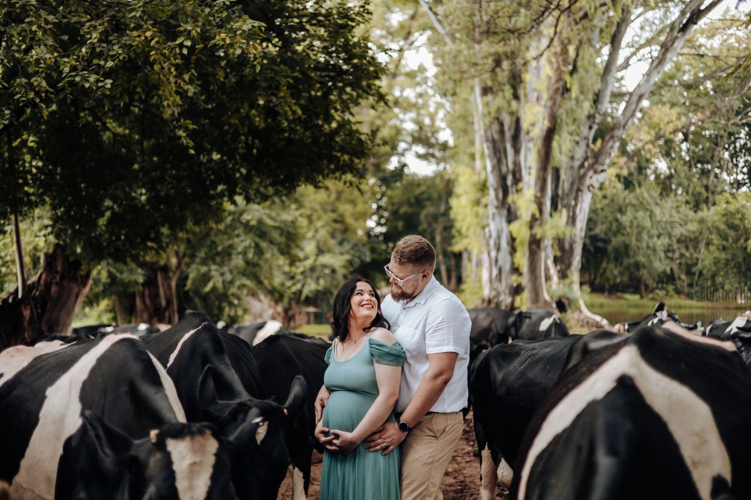 A couple walks together through a sun-dappled forest path during an engagement photo session near large trees.