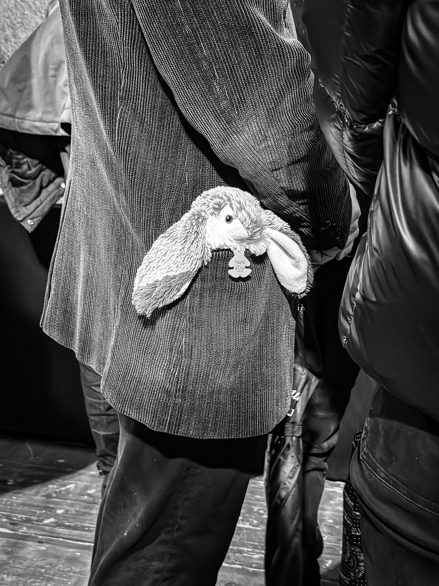 Rabbit in a pocket at Paris Photo 2024.