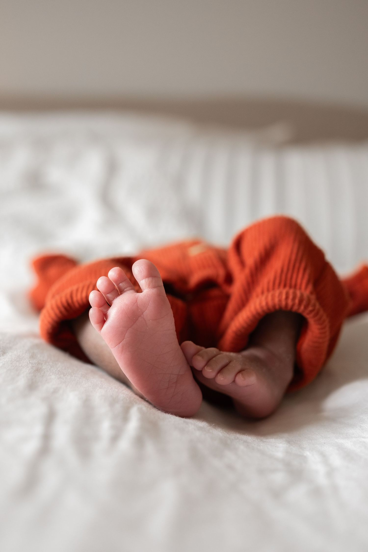 Family photography in Aberdeen and Aberdeenshire, Scotland.