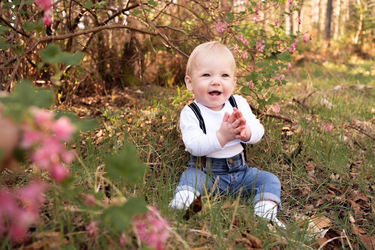 Family photography in Aberdeen and Aberdeenshire, Scotland.