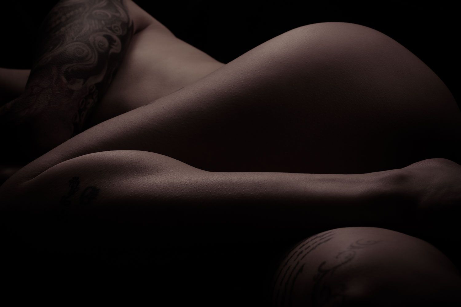 Artistic black and white nude-inspired body photograph showcasing elegant lines and contours.