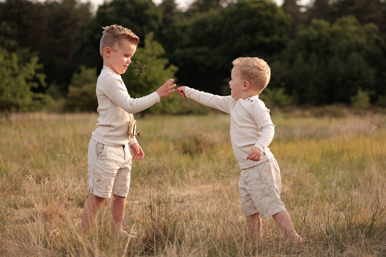 Broertjes spelen tijdens fotoshoot op de heide