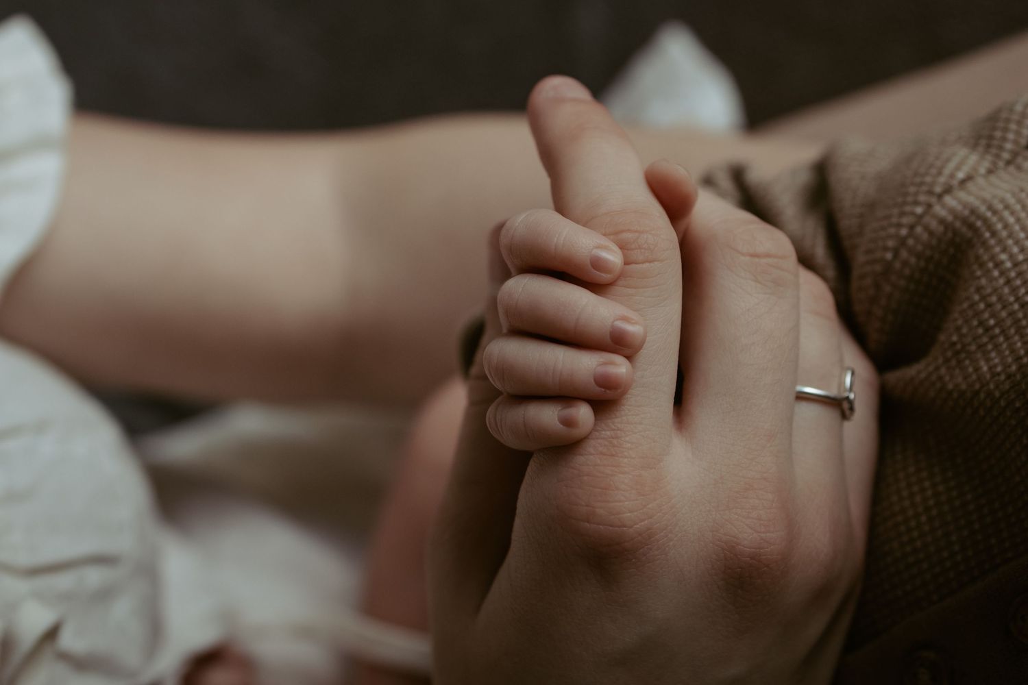 Hazel & Oak Photography Adelaide South Australia Photographer Maternity Family Newborn