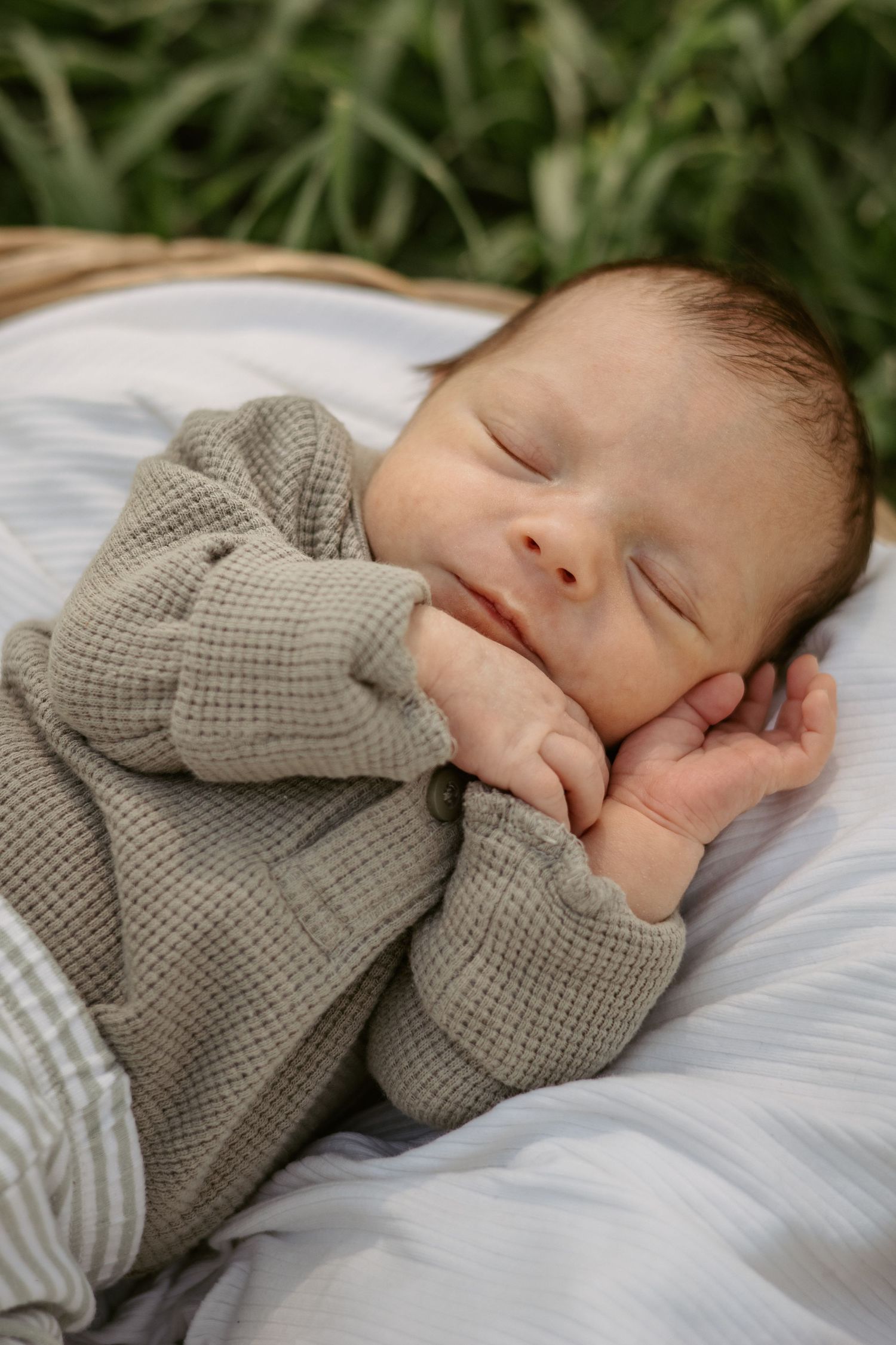 Hazel & Oak Photography Adelaide South Australia Photographer Maternity Family Newborn