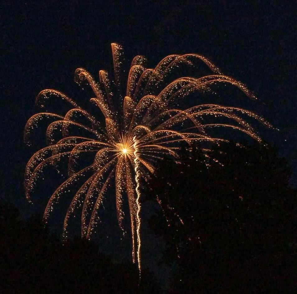Fireworks in Leland, Trudy Galla Photography