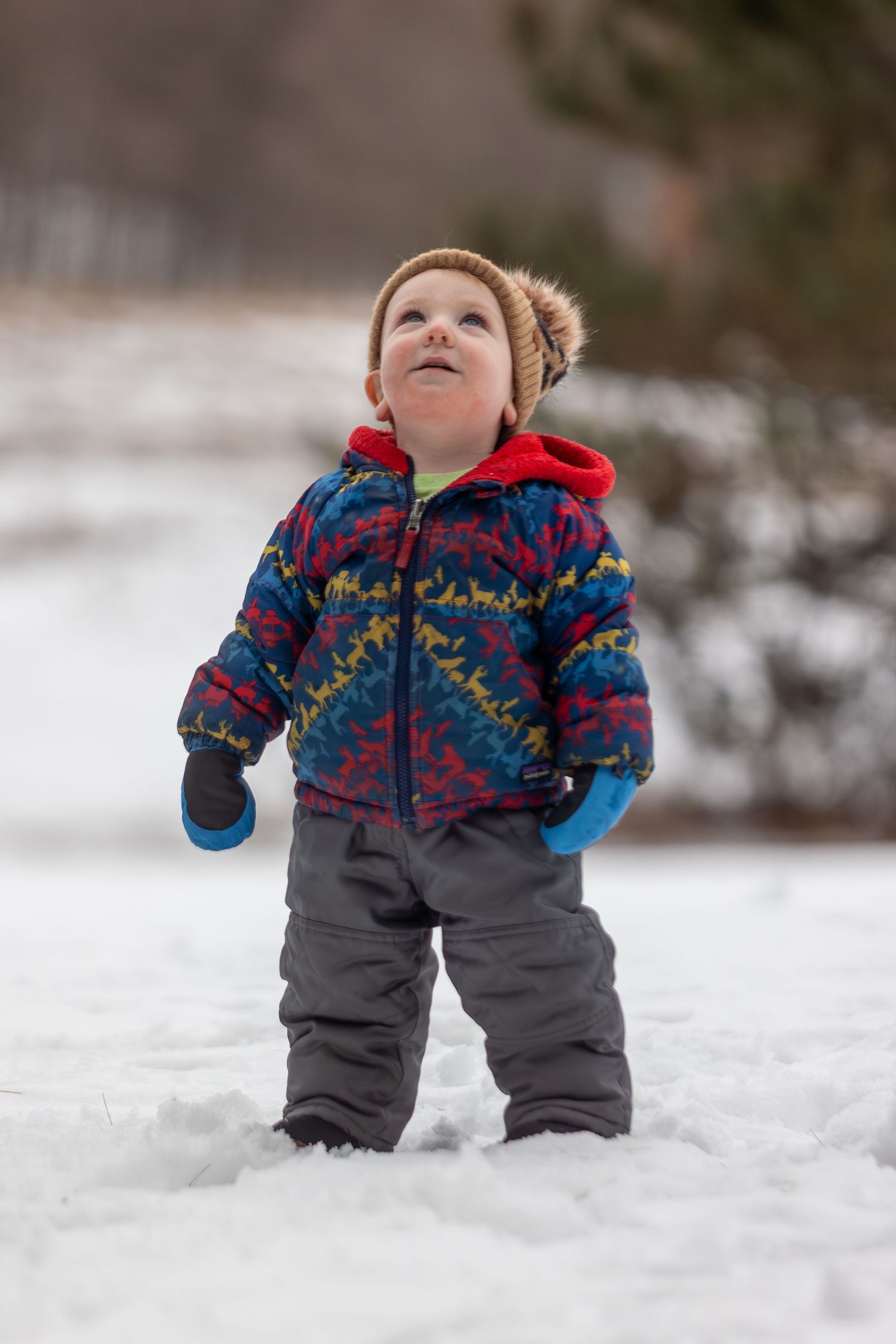 First snowflakes - Trudy Galla Photography