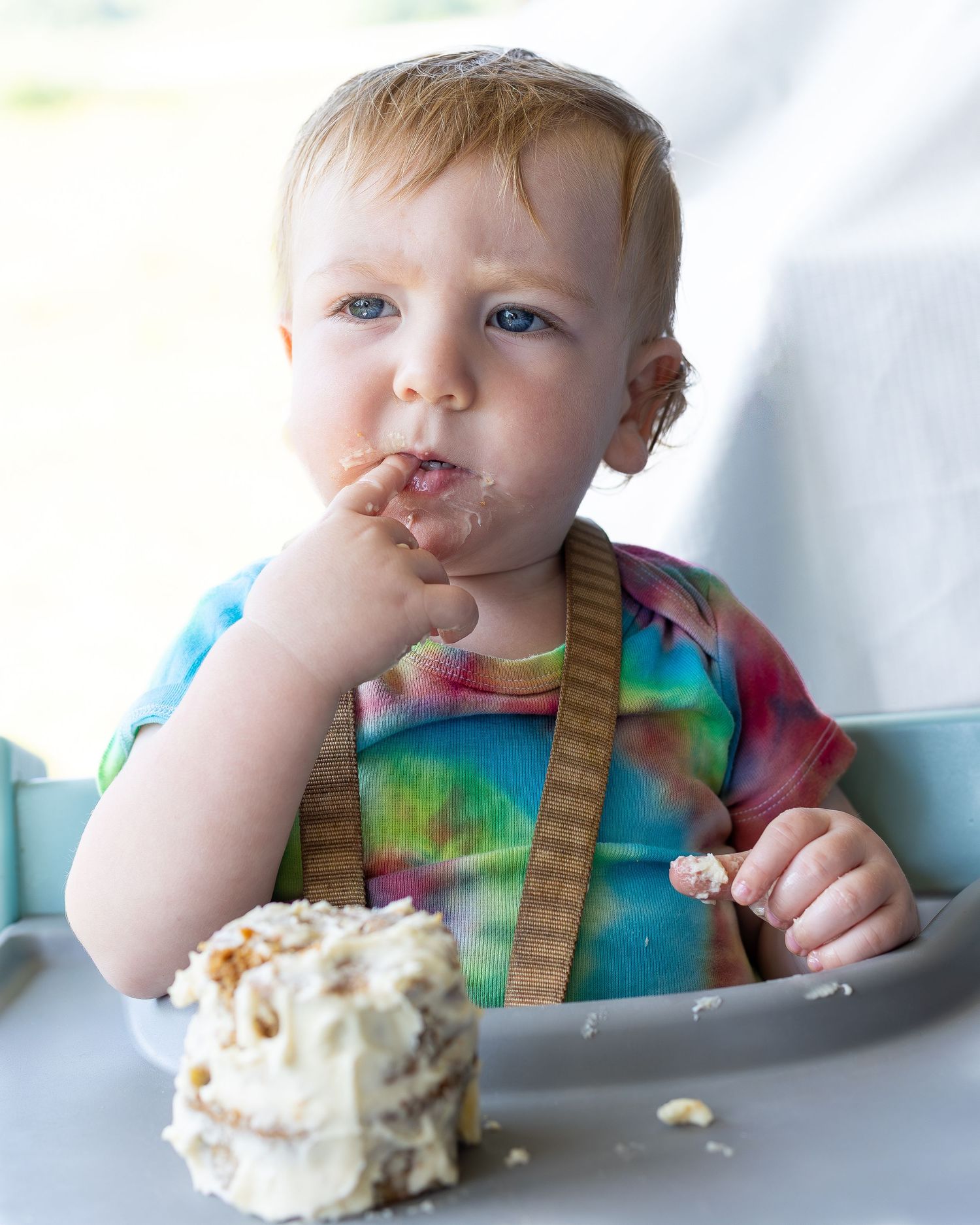 1st birthday cake - Maple City, Trudy Galla Photography