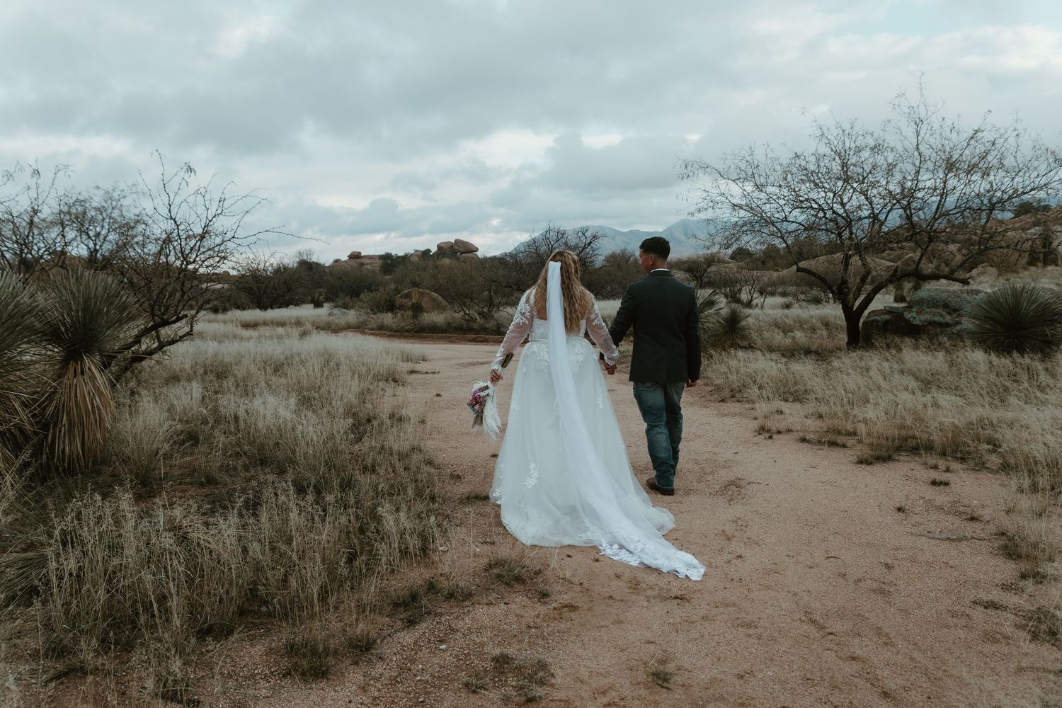 A couple in wedding attire walks through a desert landscape with bare trees and cloudy skies. Tucson Wedding photographer