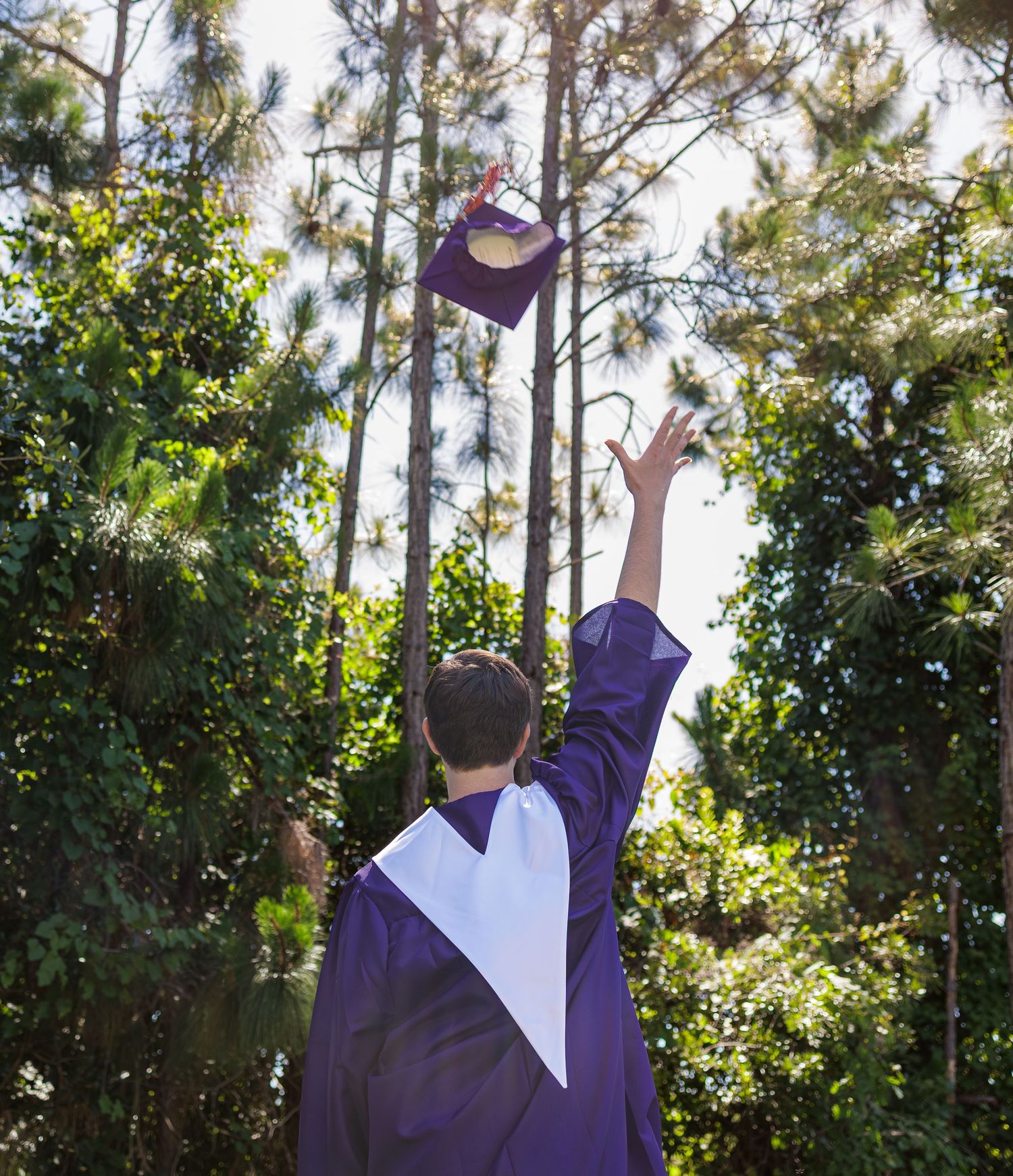 Graduate in purple gown tossing cap into the air outdoors among tall green trees on a sunny day.