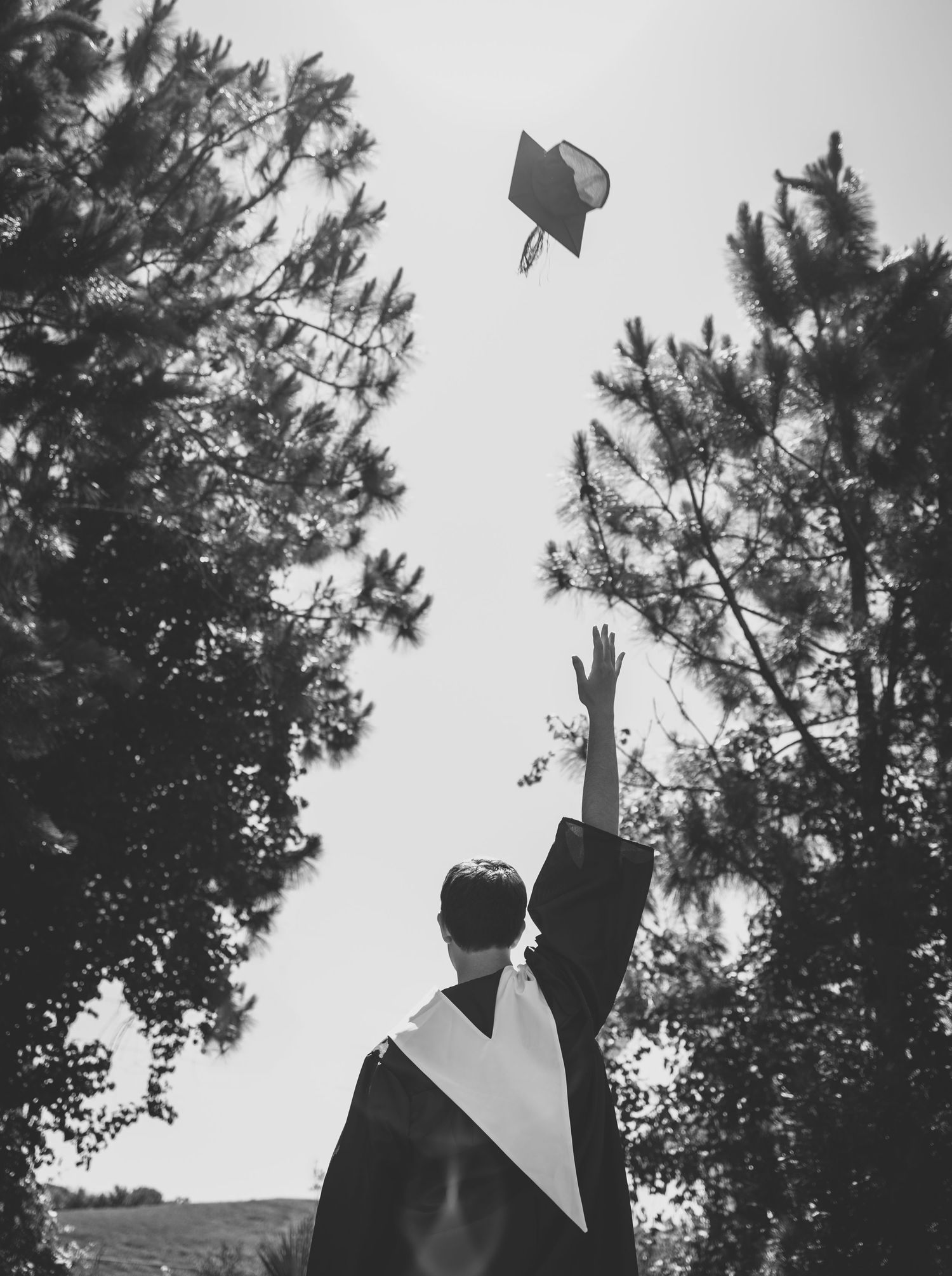 Graduate in cap and gown tosses mortarboard into sky among tall trees in black and white photo.