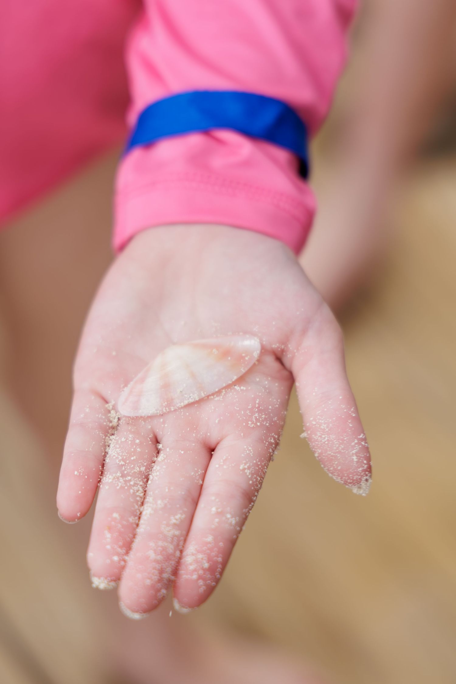 Child's sandy open palm holding a small seashell, wearing a pink long-sleeve shirt with a blue wristband on the beach.