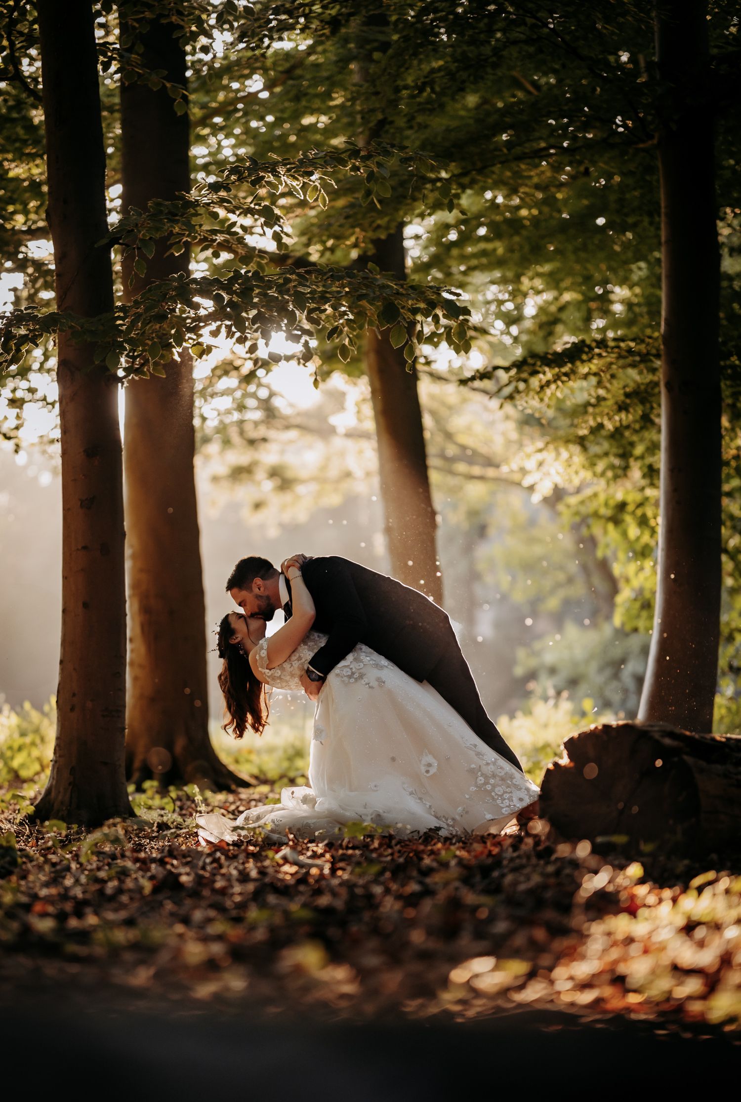 Sunset forest couple shots at Lanwades Hall wedding venue in Newmarket.