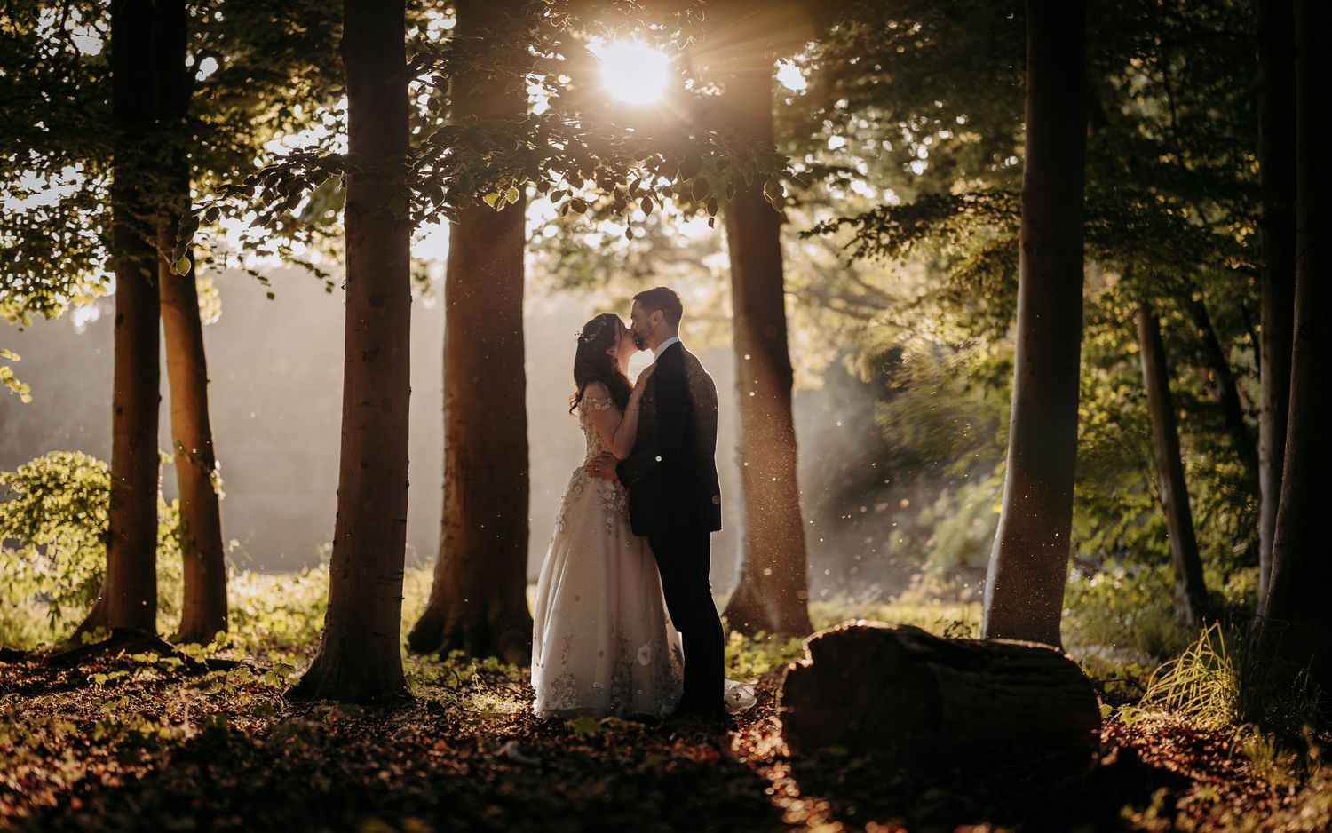 Sunset through trees couple wedding photo at Lanwades Hall, Newmarket.
