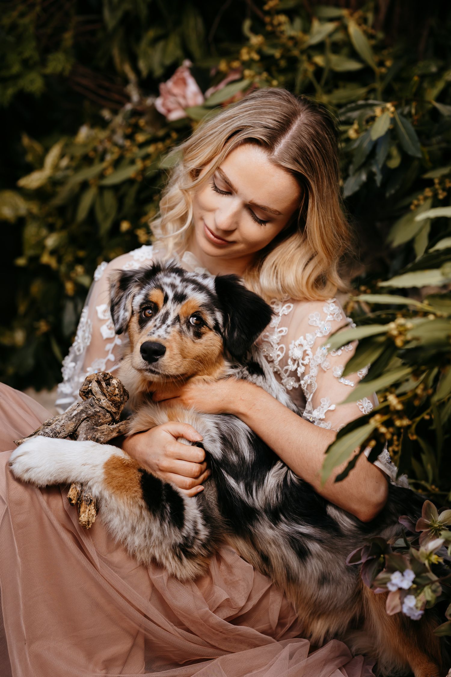 Lifestyle portrait photography session in St Ives featuring an Australian Shepherd dog.