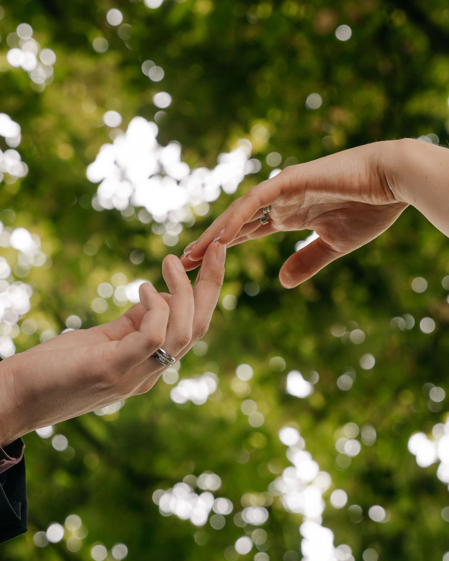 Two hands reaching toward each other with fingertips touching against a blurred green bokeh tree background.