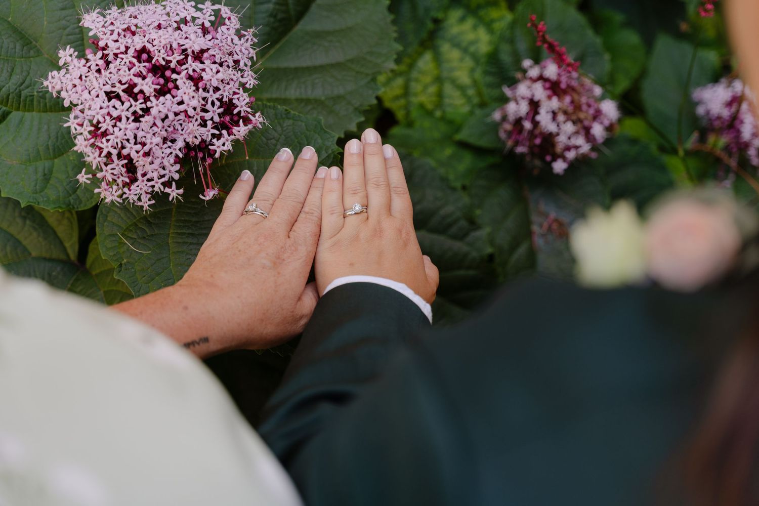 Newlywed couple displaying wedding rings on hands resting among pink flowers and green leaves.
