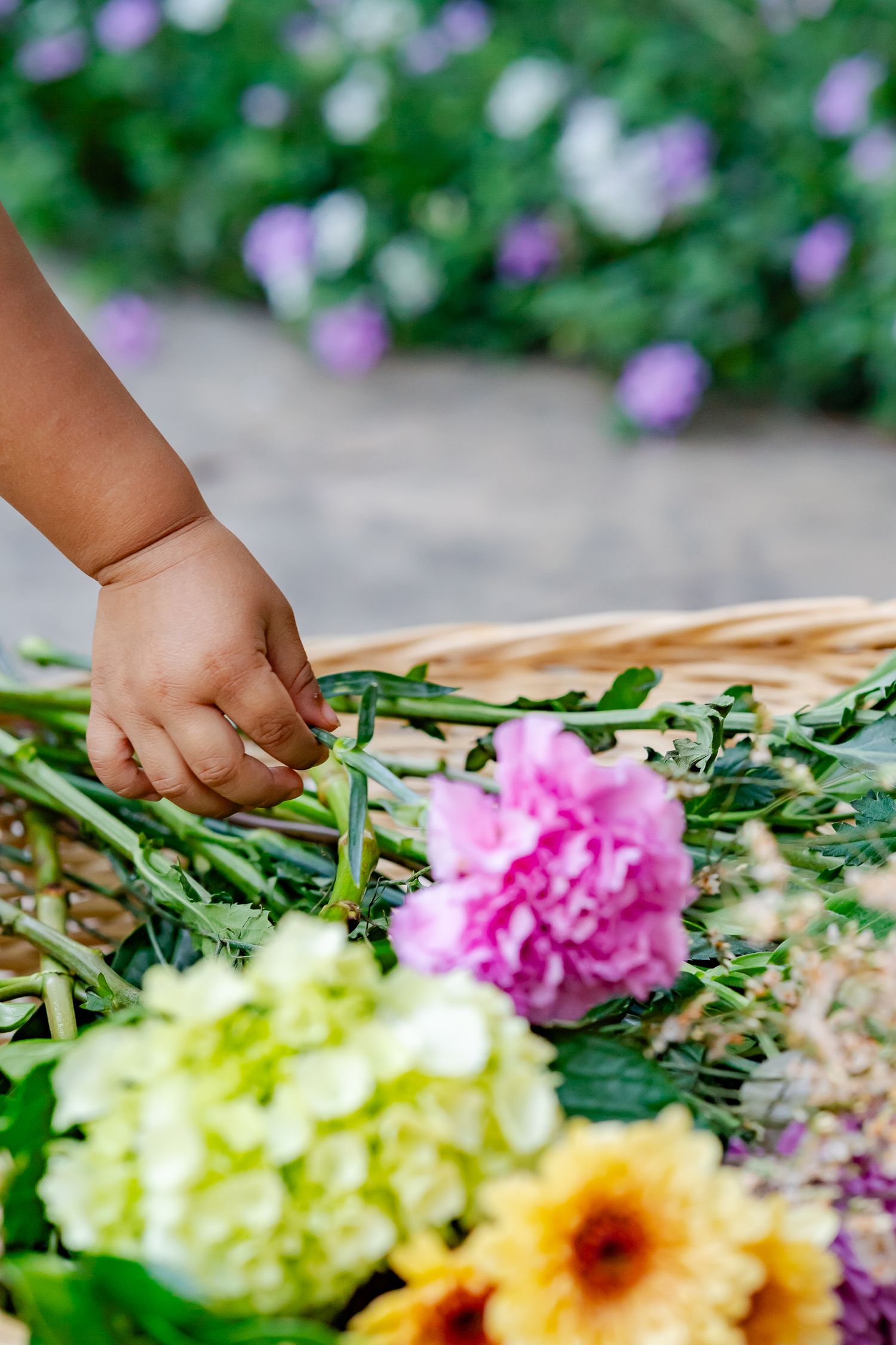 child picking a flower from a basket