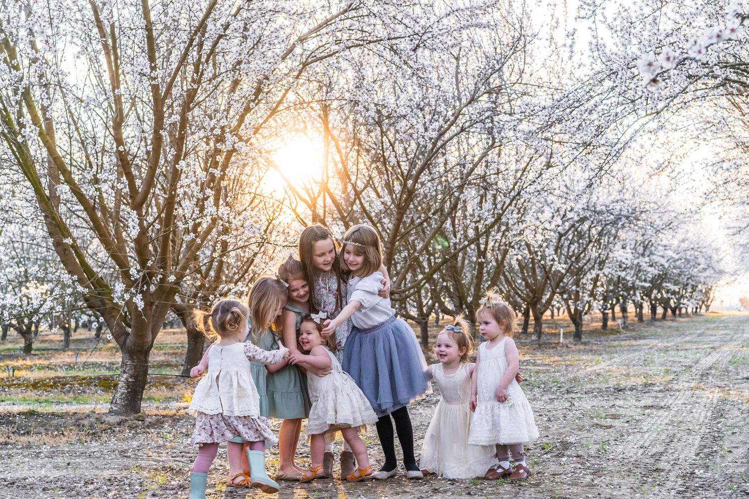 Central Valley orchard blossoms