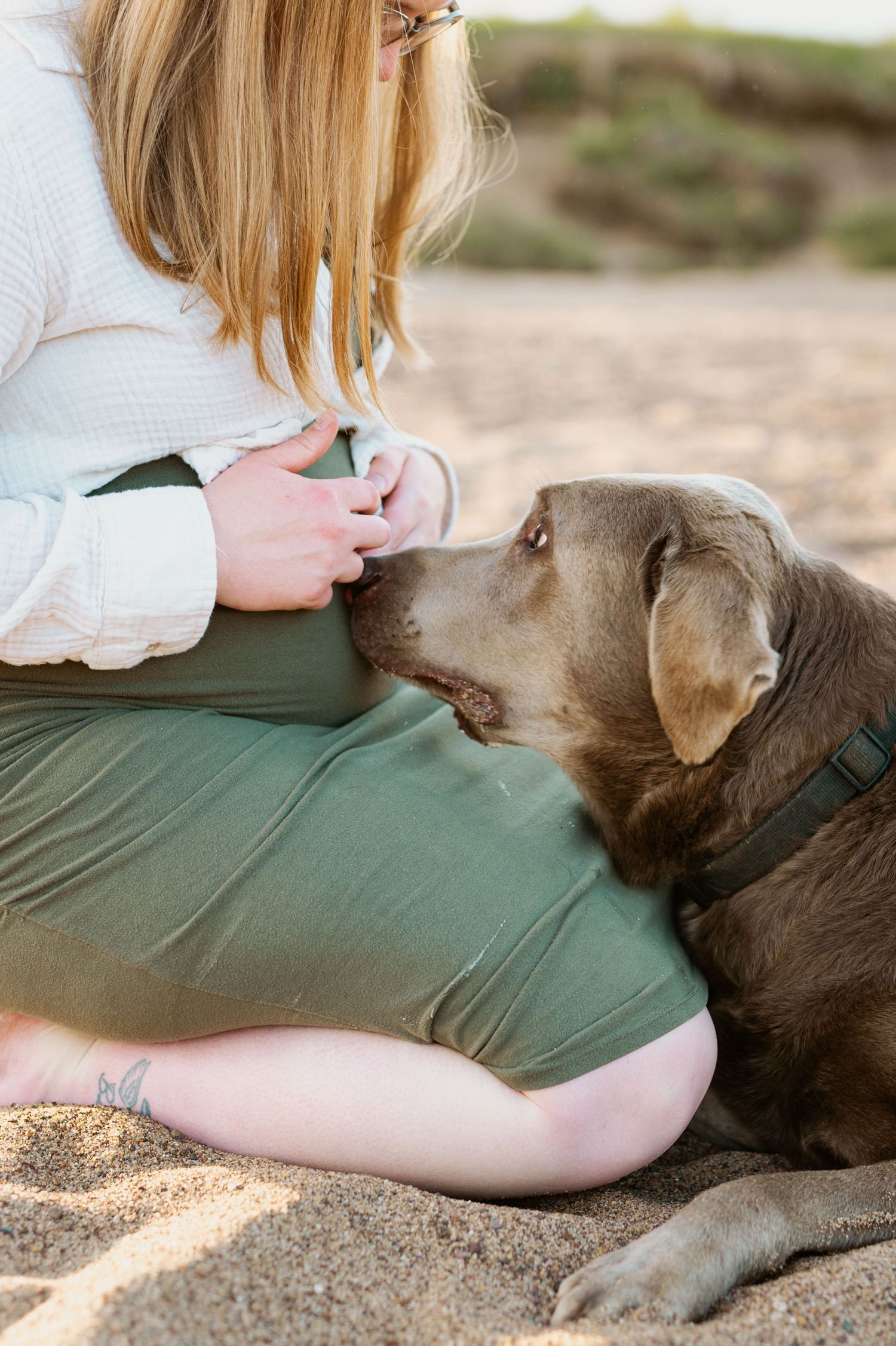 A chocolate brown dog rests affectionately on its owner's lap at a sandy beach during sunset.