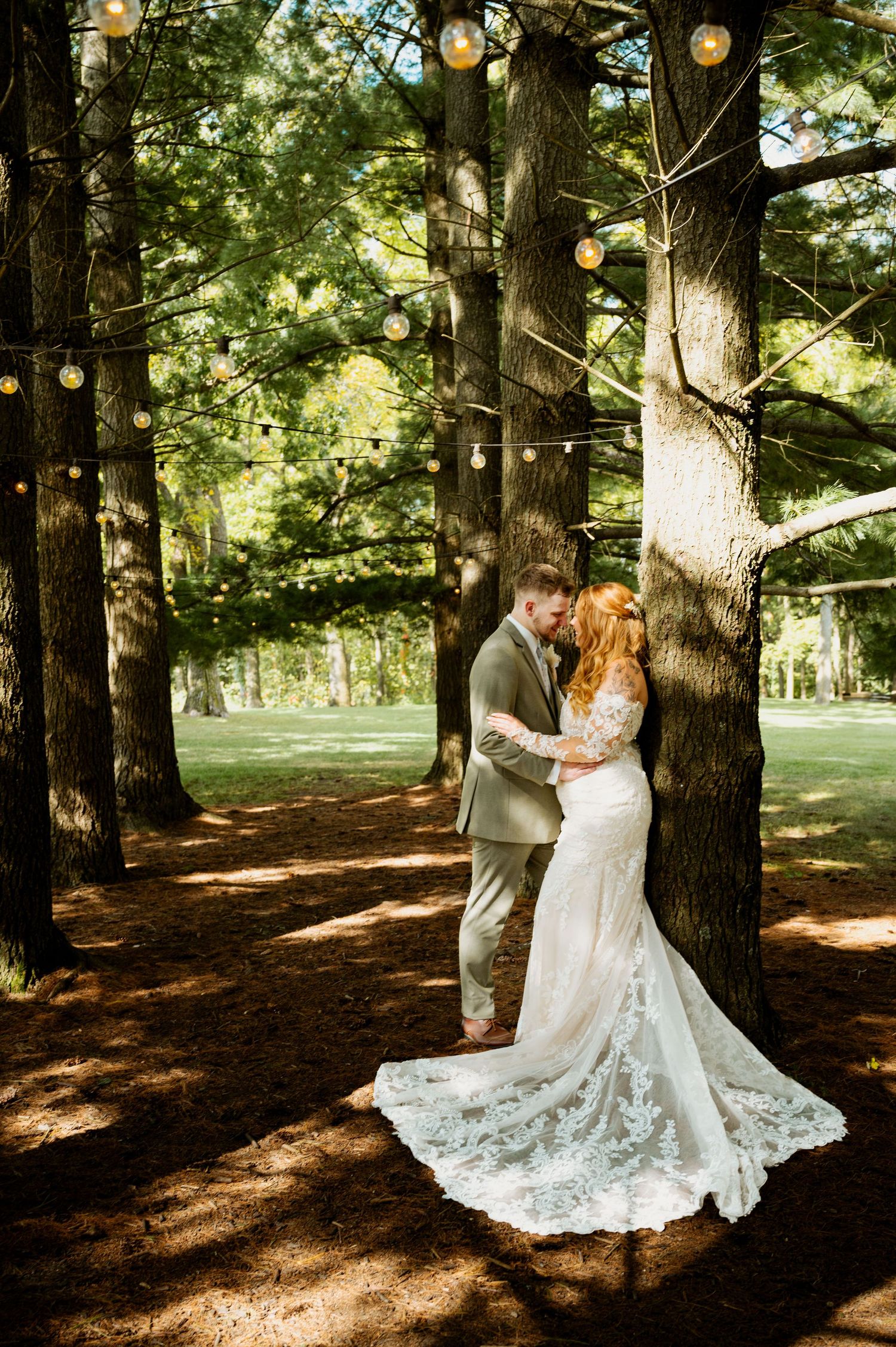 String lights illuminate a forest wedding scene with pine trees creating a natural backdrop.