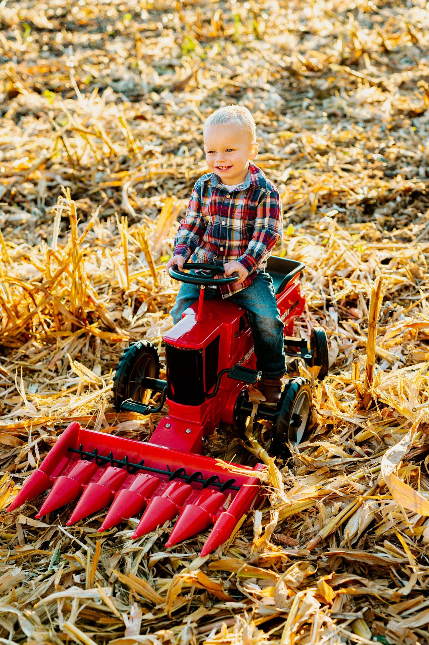 A joyful moment on a red toy combine harvester in a golden cornfield during harvest season.