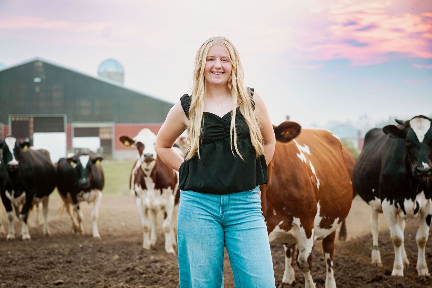 Rural farm scene with cattle grazing in the background during sunset.