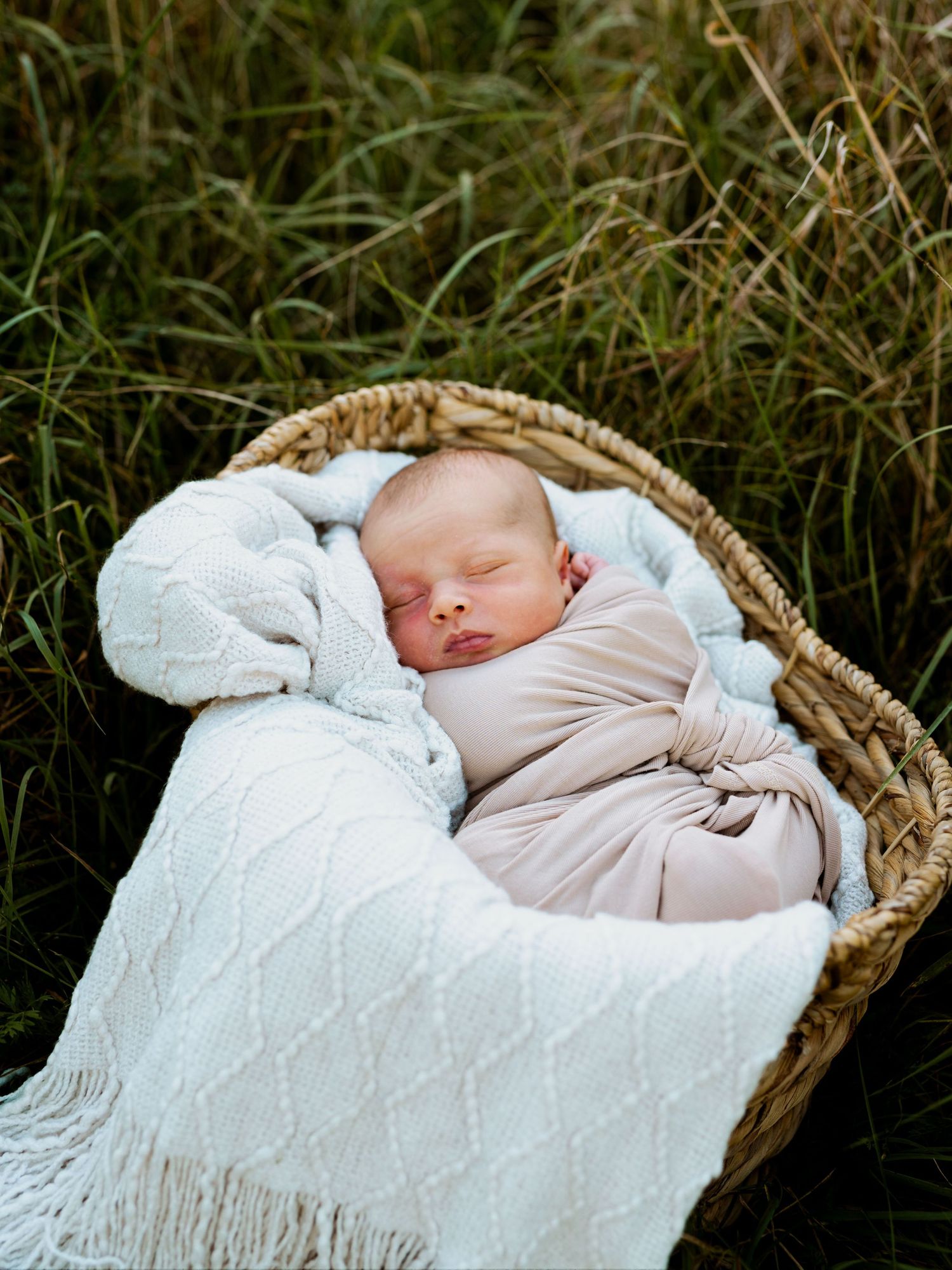A sleeping newborn wrapped in white blankets rests peacefully in a woven basket surrounded by tall grass outdoors.