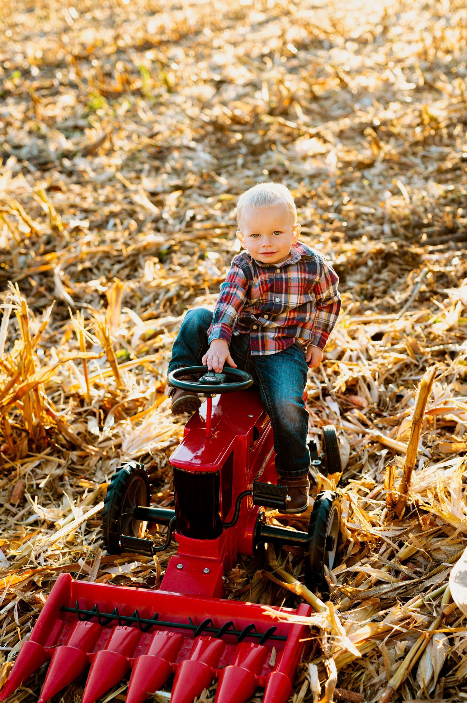 A bright red combine harvester stands amid fallen corn stalks in an autumn field.