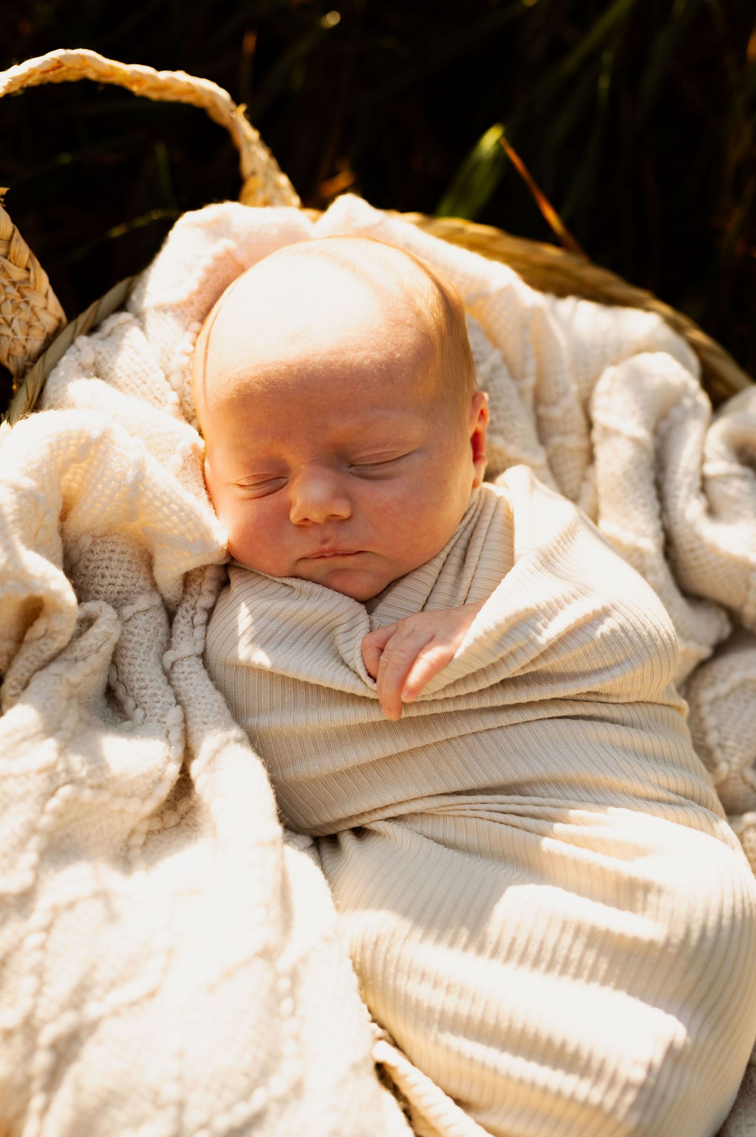 A sleeping newborn baby swaddled in a cream-colored blanket rests peacefully in natural sunlight.