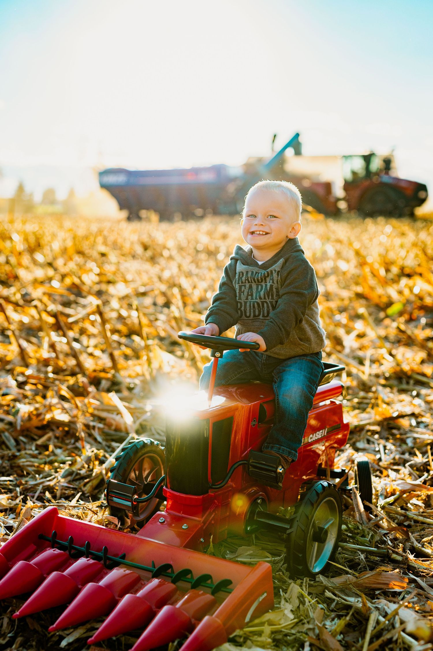 A small child rides a red toy harvester through a golden cornfield at sunset, creating a magical autumn scene.