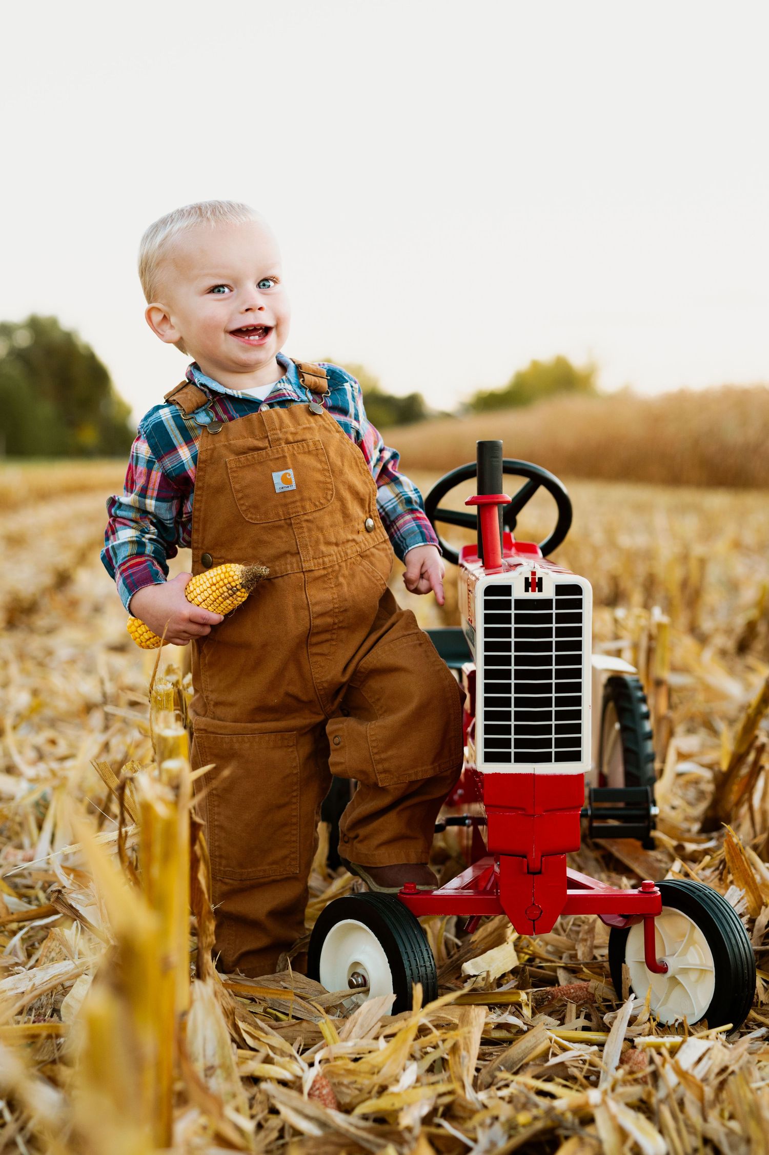A young child in brown overalls stands next to a red toy tractor in a harvested cornfield at sunset.