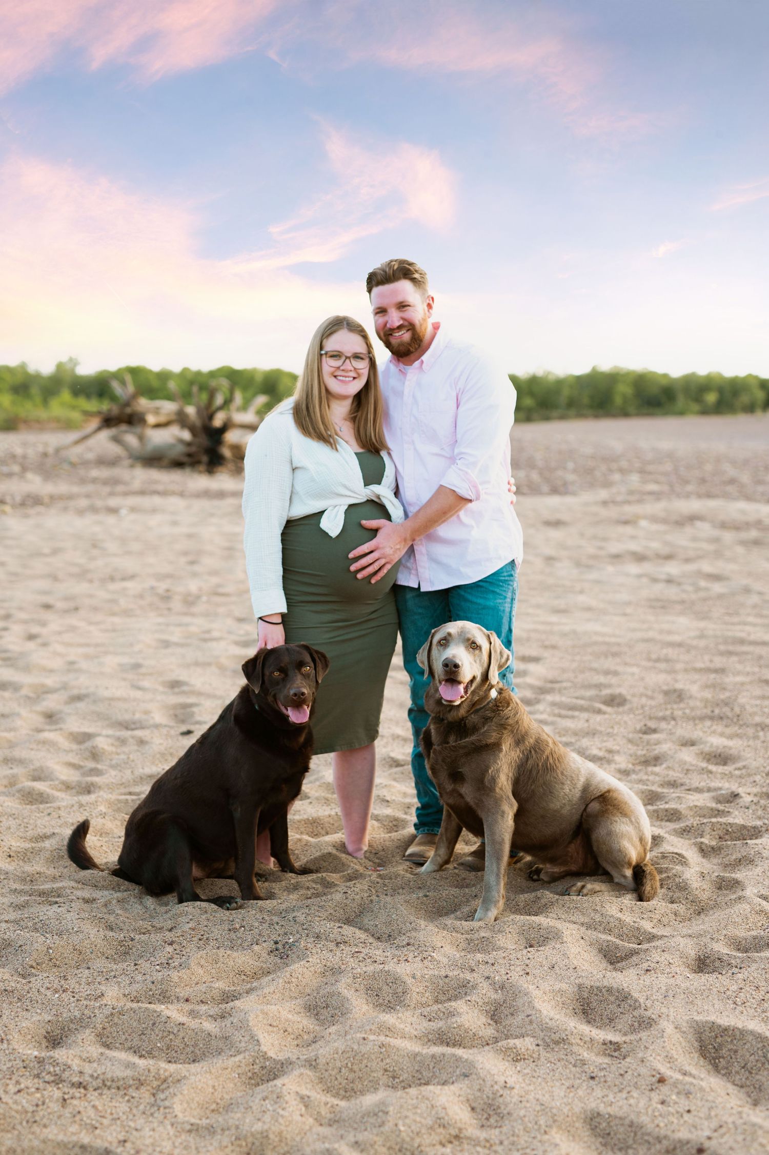 Two brown dogs sit with a couple on a sandy beach at sunset during a maternity photo session.