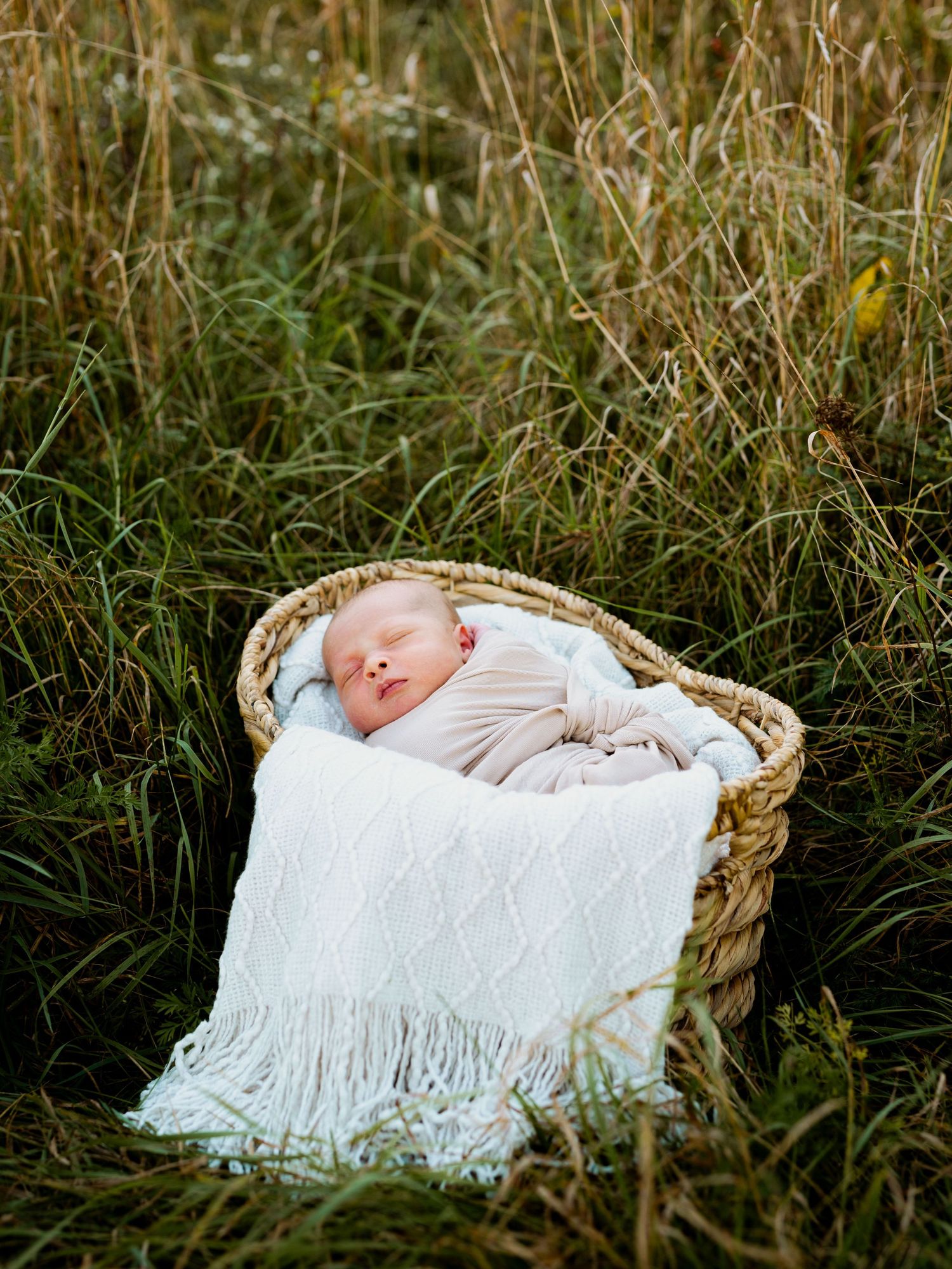 Peaceful newborn sleeping in woven basket with white blanket surrounded by tall grass outdoors.