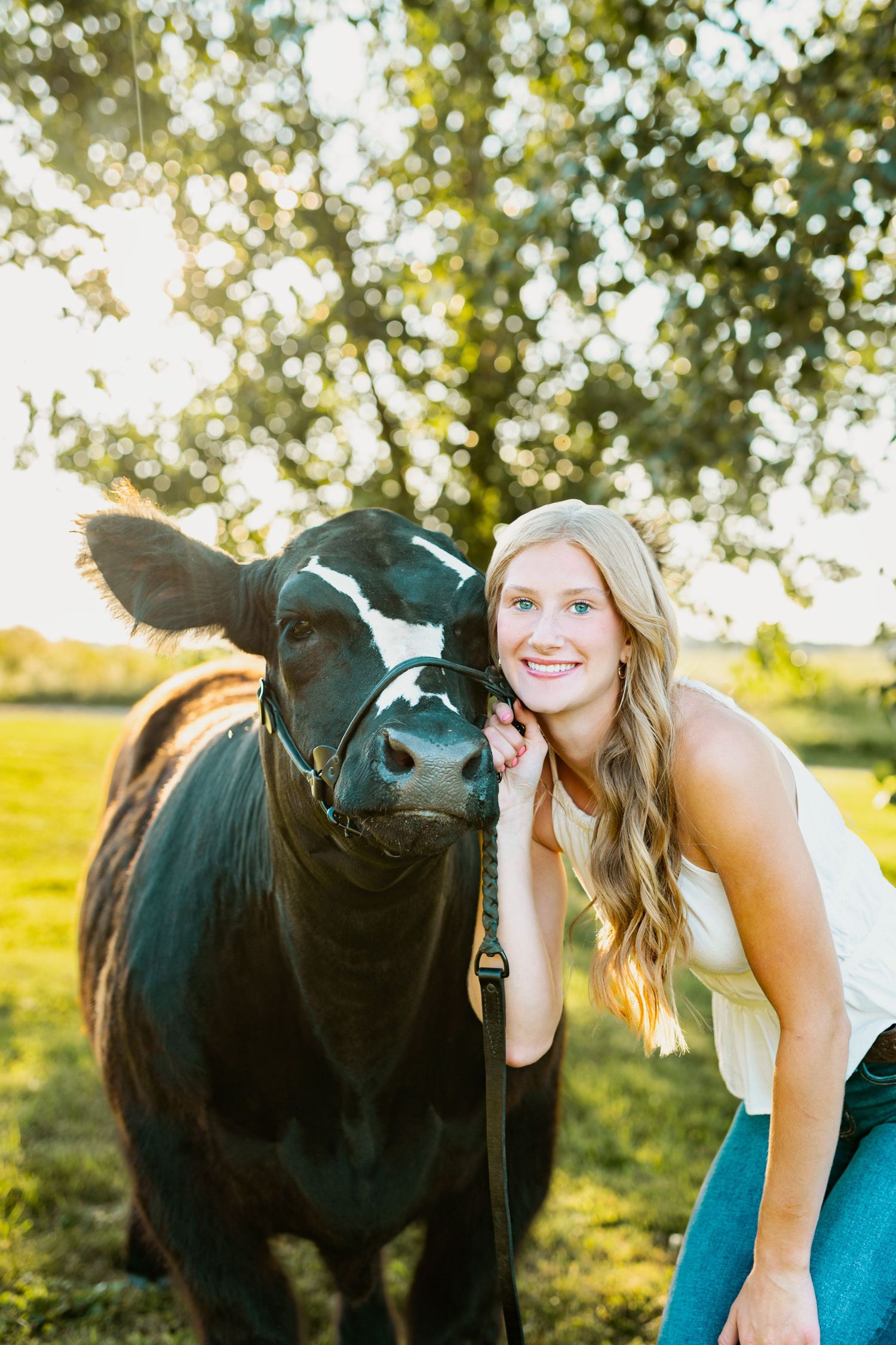 A black cow and someone in a teal dress interact playfully in a sunny outdoor field during golden hour.