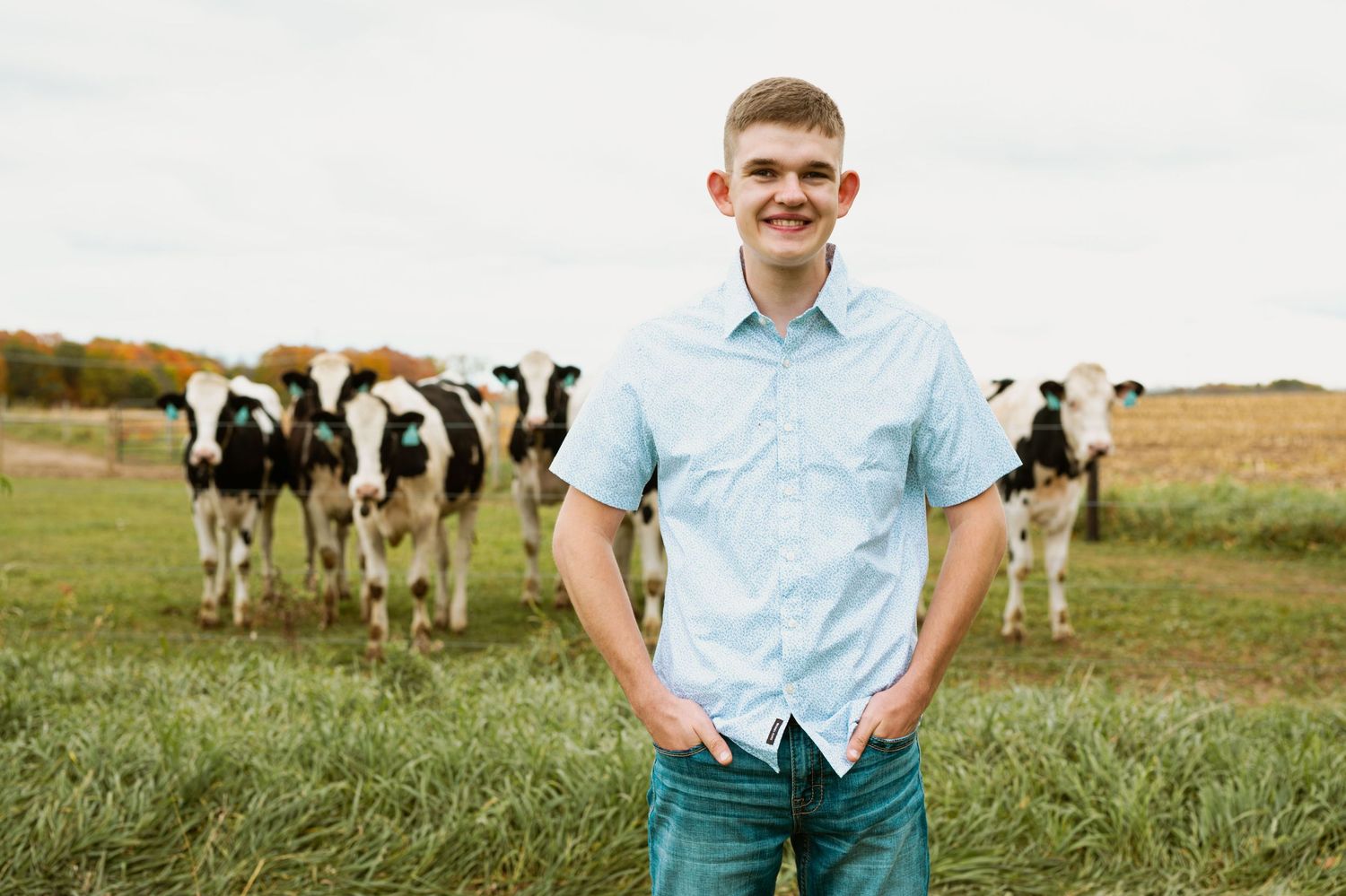Rural scene with person in blue shirt standing in pasture with Holstein dairy cows grazing in background.