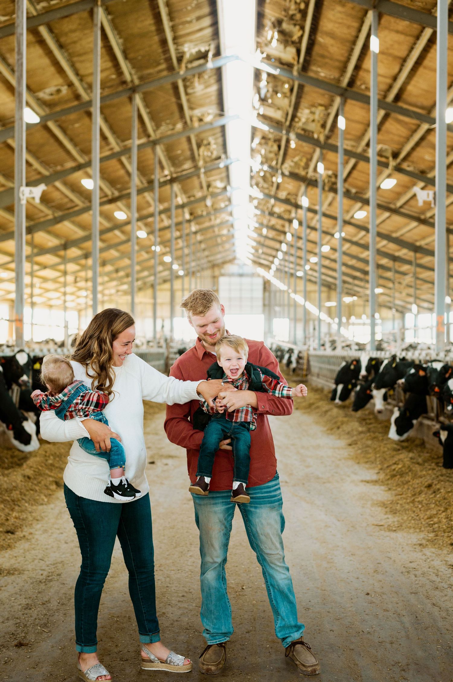 A couple shares a tender moment with their baby inside a rustic dairy barn with cattle stalls visible in the background.