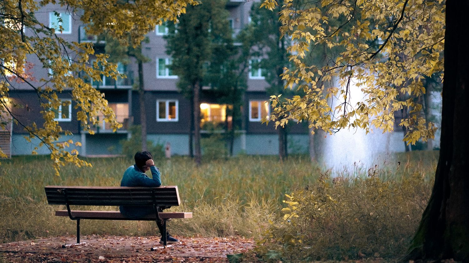 Autumn scene with benches in a park surrounded by yellow-leaved trees.