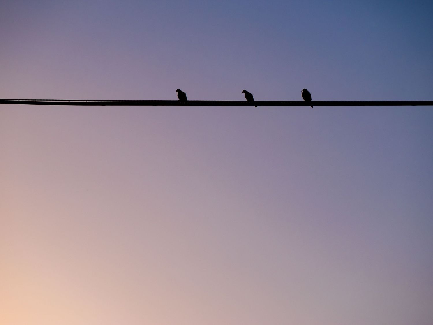 Three Little Birds, Sunset Cotton Candy Photography