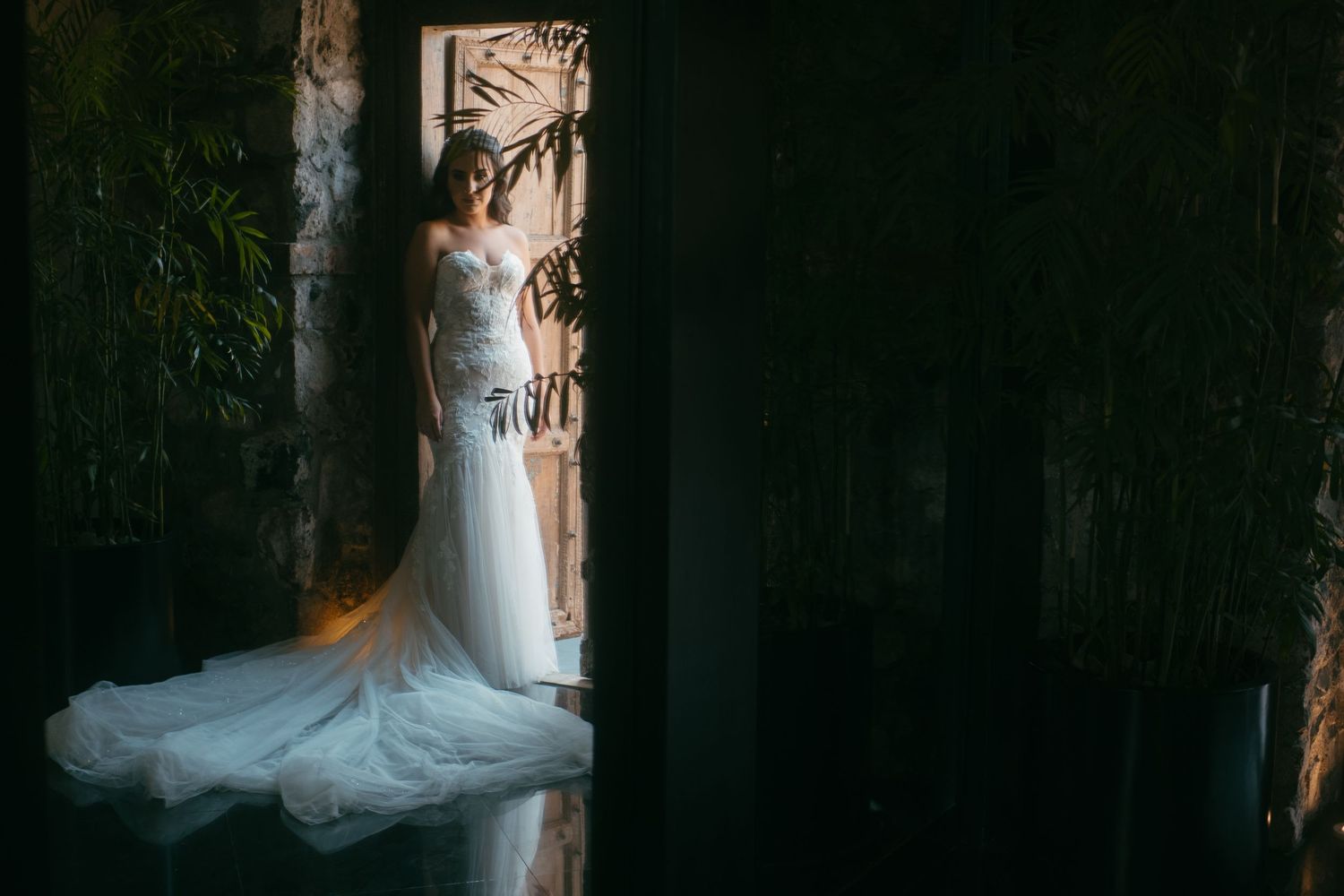 A bride in a flowing white gown stands gracefully in a shadowy doorway.