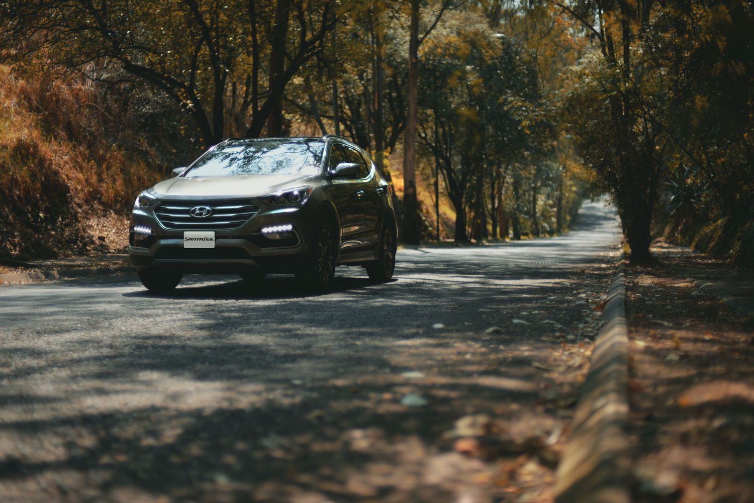 Dark colored SUV parked on a winding forest road surrounded by tall trees in autumn.