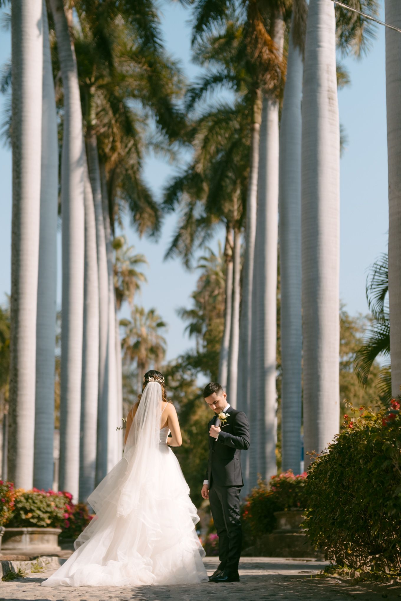 Bride and groom stand on path lined with towering royal palm trees.