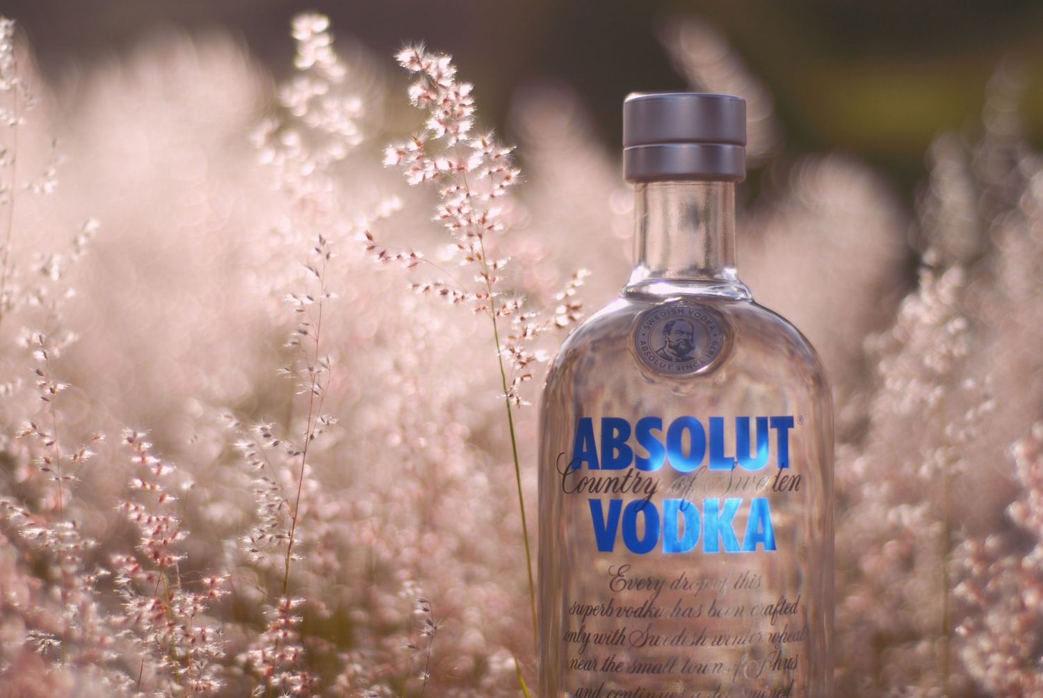 A bottle of Absolut vodka sits among soft pink delicate wild grass flowers in a dreamy outdoor setting.