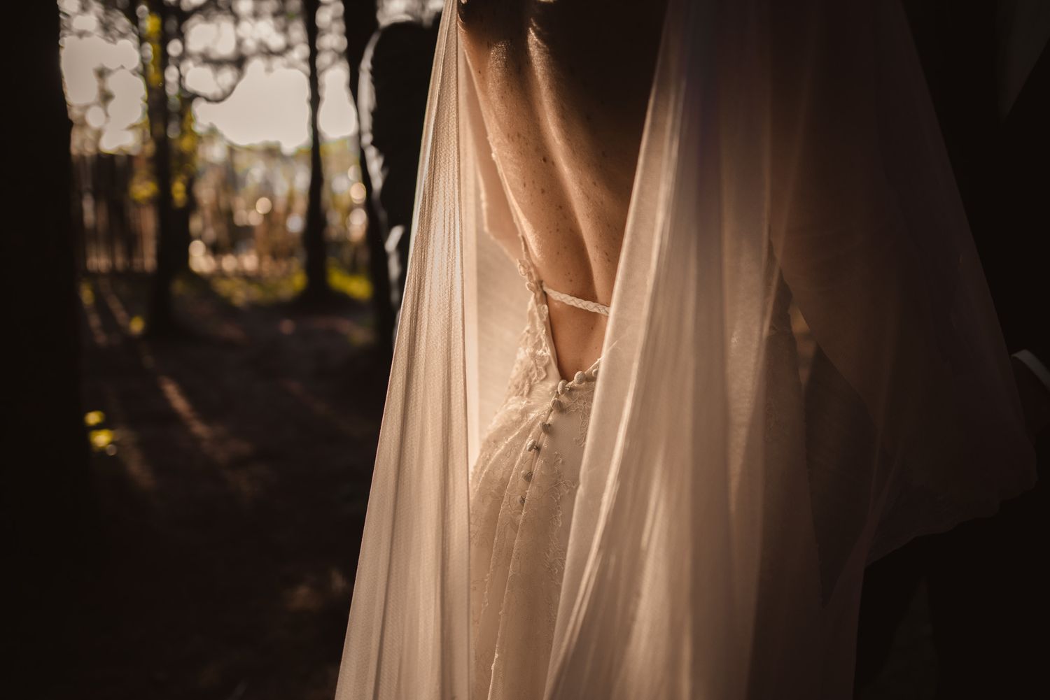 A delicate wedding dress with flowing veil backlit against a dusky forest background.